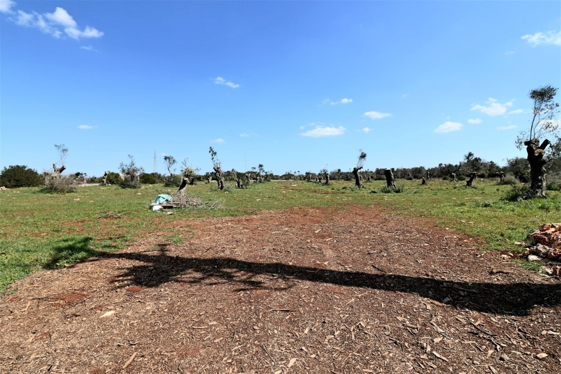 Tierra en ruffano, Apulia 11553220