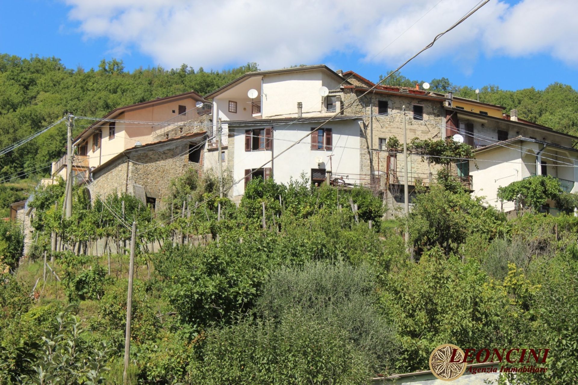 casa no , Tuscany 11553412