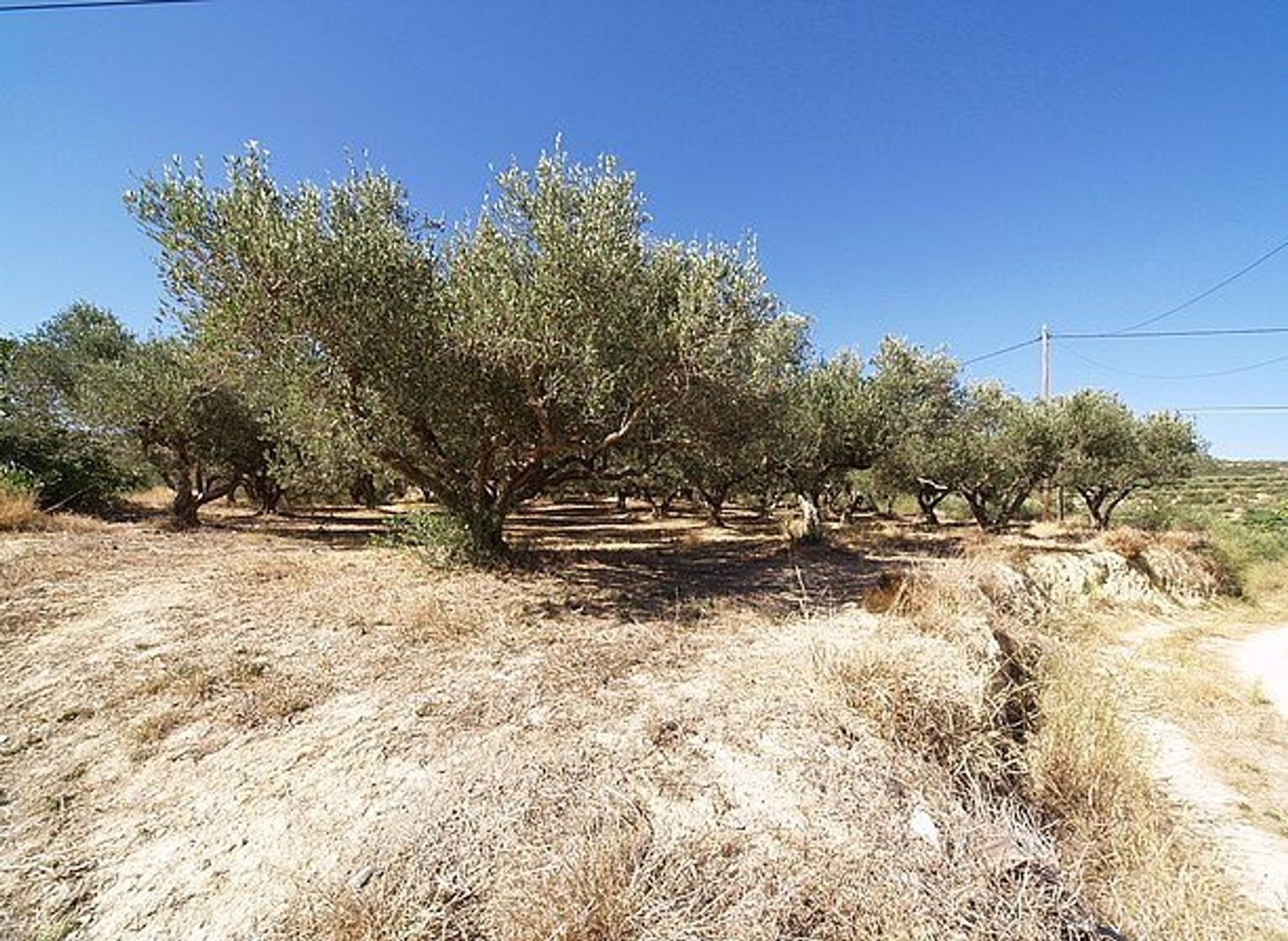 Land in Kissamos,  11553655