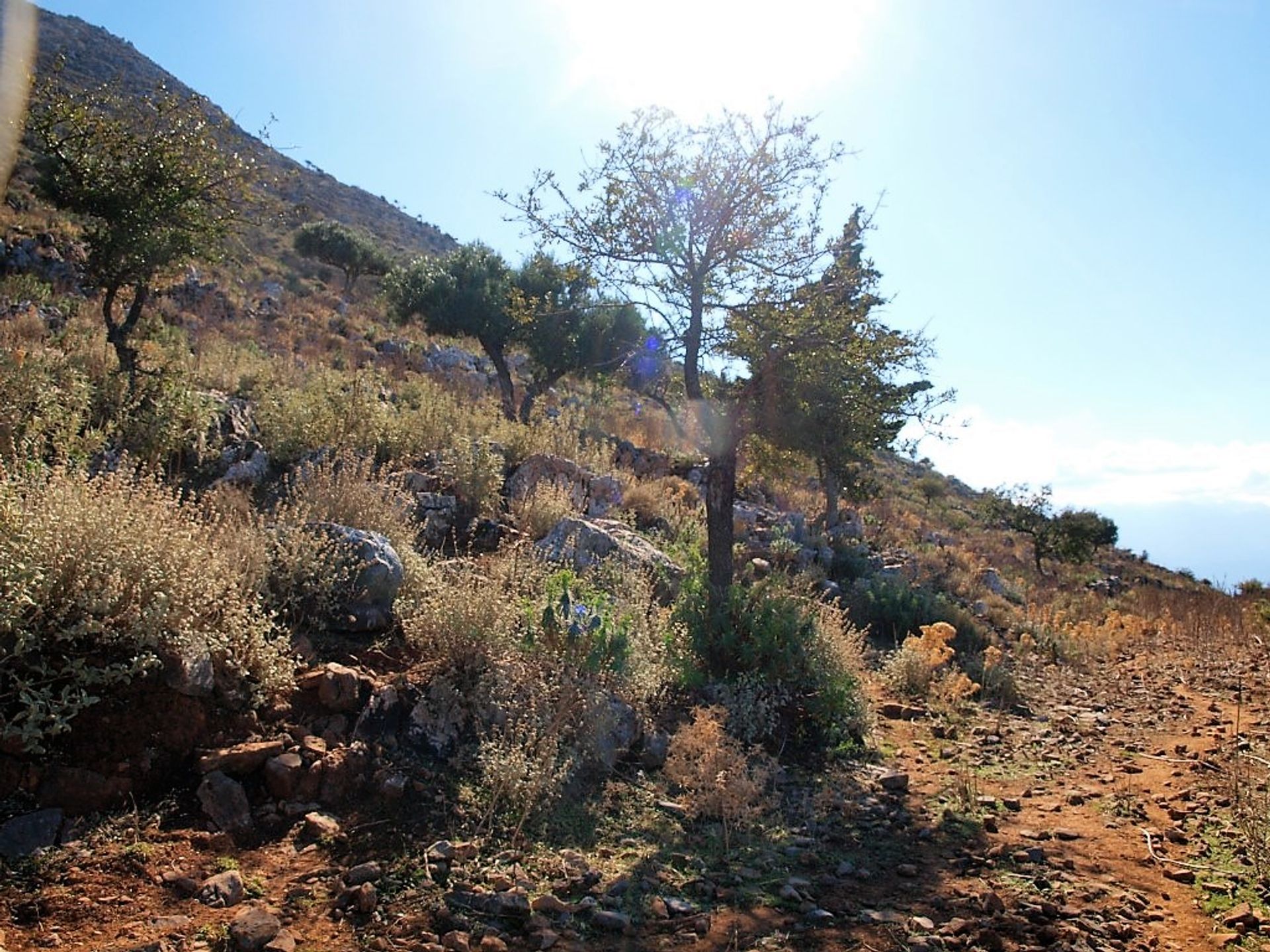 Land im Kokkino Chorio,  11553673