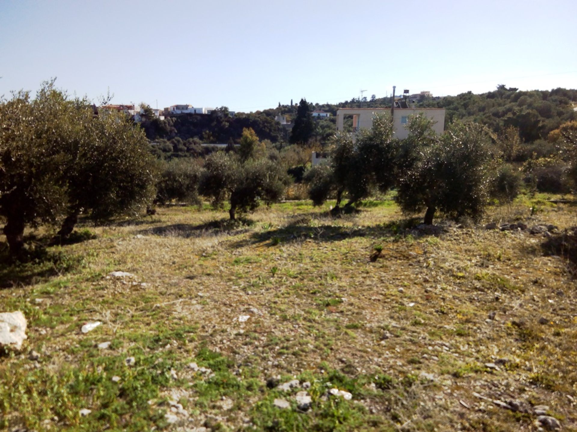 Land im Nipos, Kriti 11553736