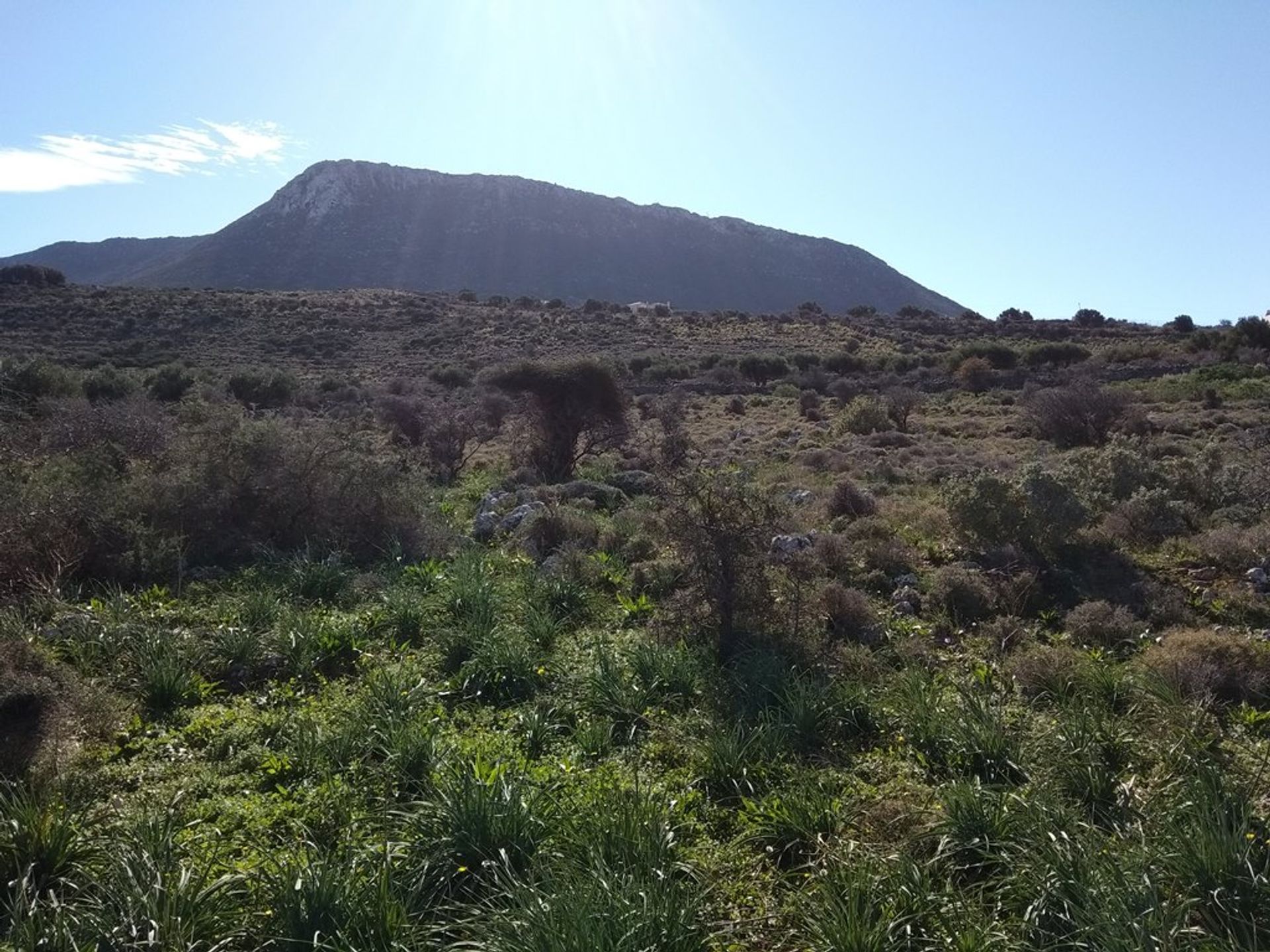 ארץ ב Kokkino Chorio,  11553748