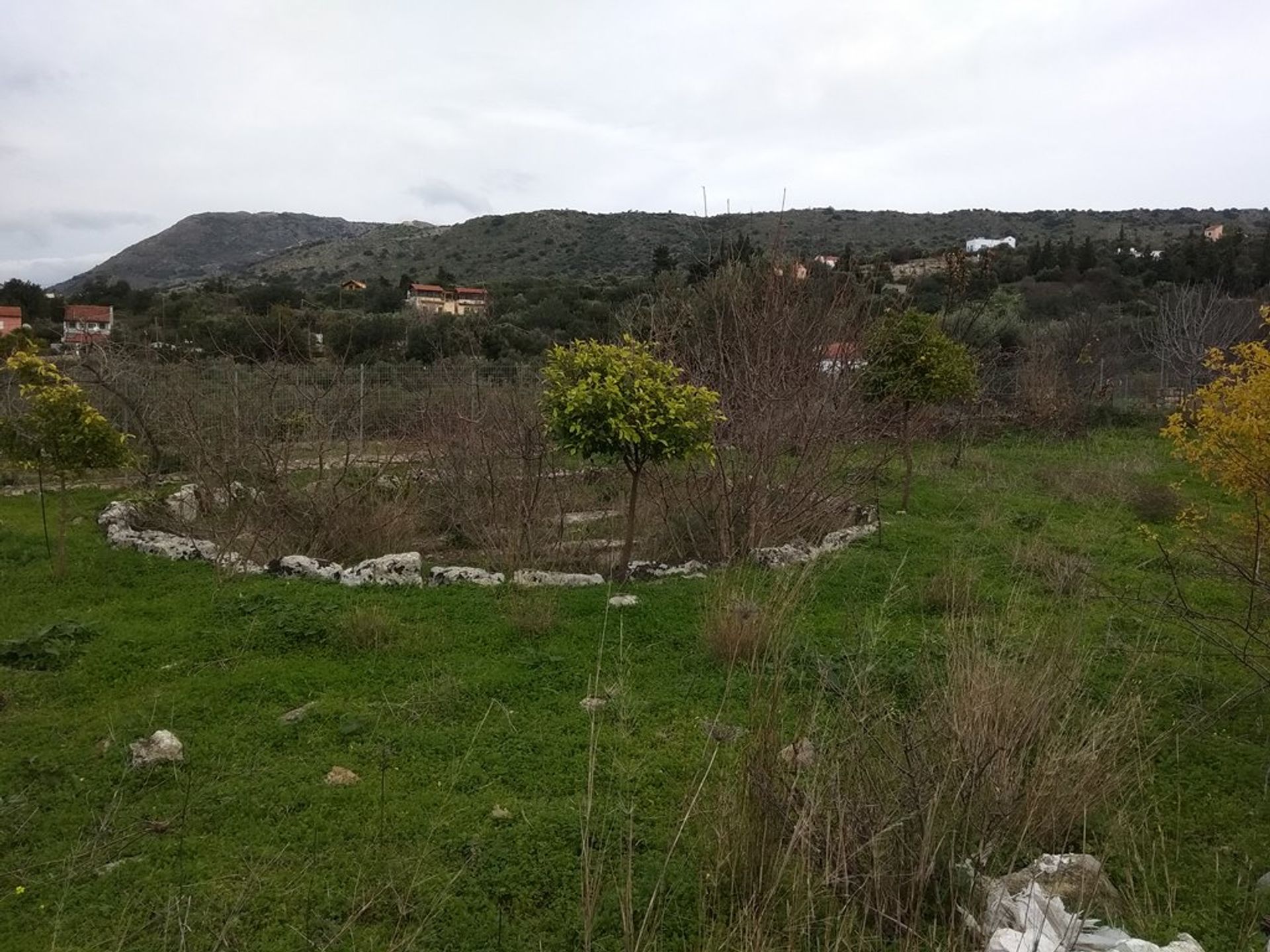 Land im Kefalas, Kriti 11553749