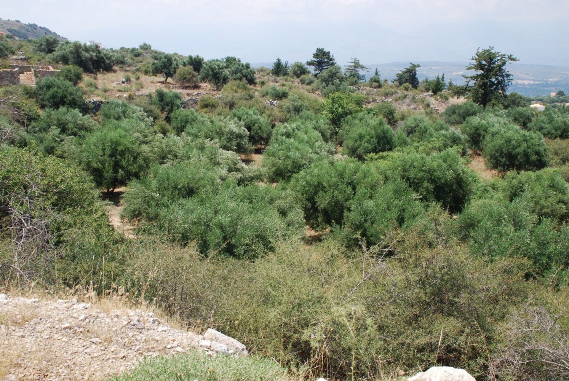 Land in Kokkino Chorio,  11553789