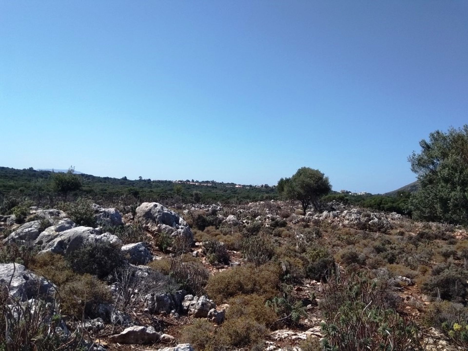 Land im Kefalas, Kriti 11553799