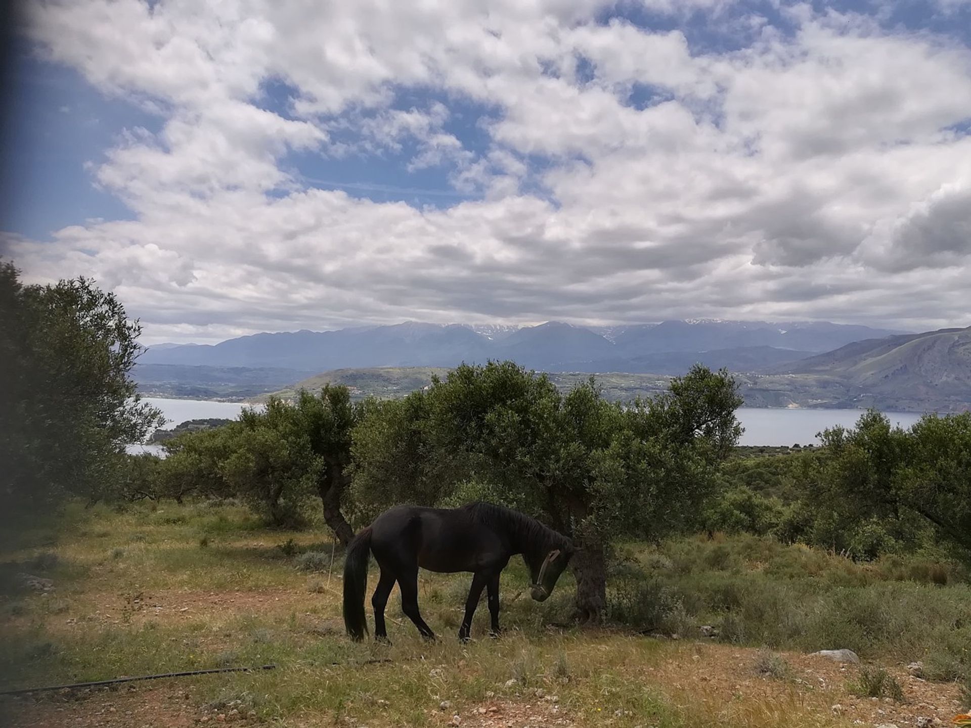 Tierra en Sternes,  11553835