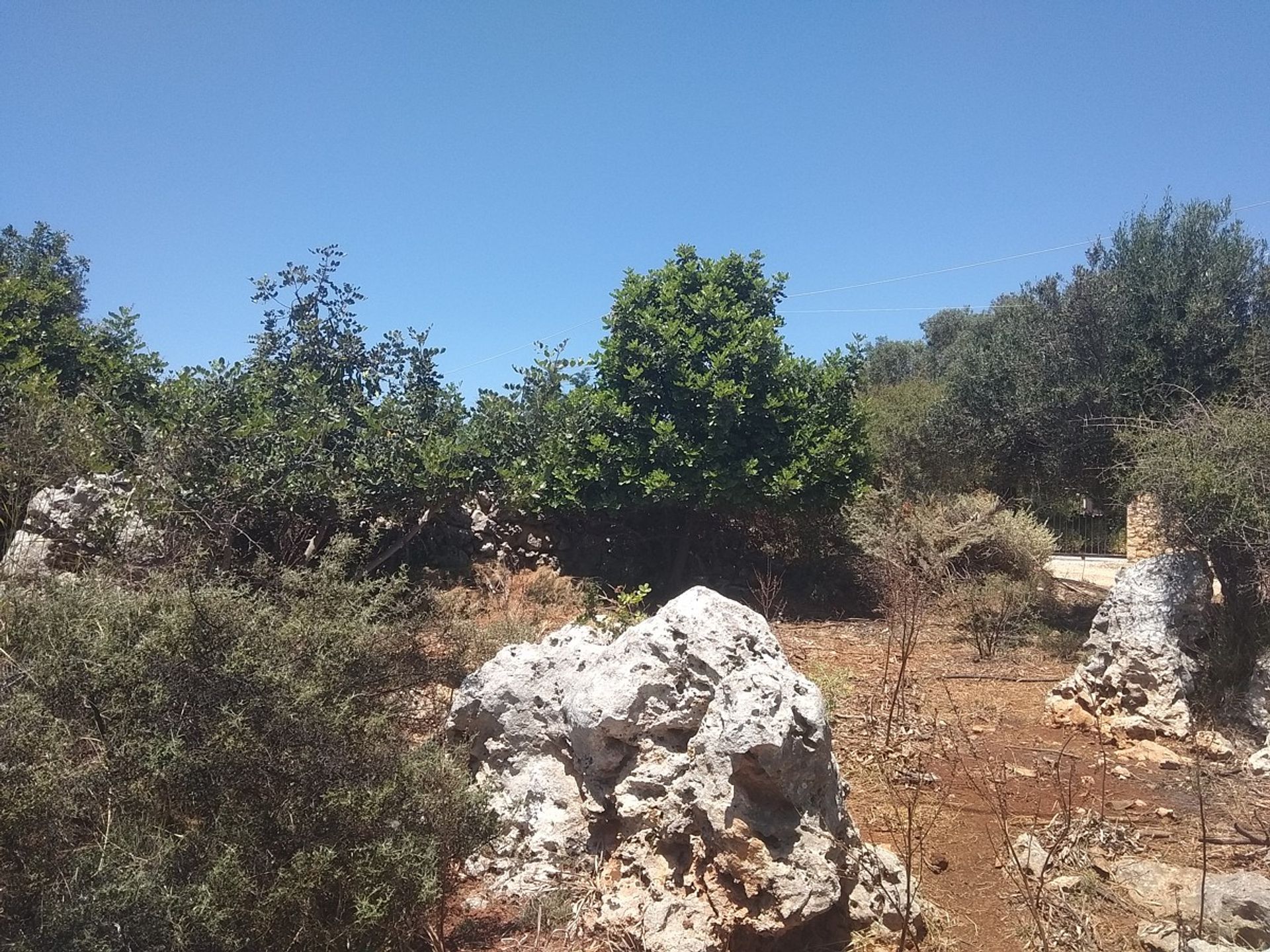 Land in Kefalas, Kriti 11553838