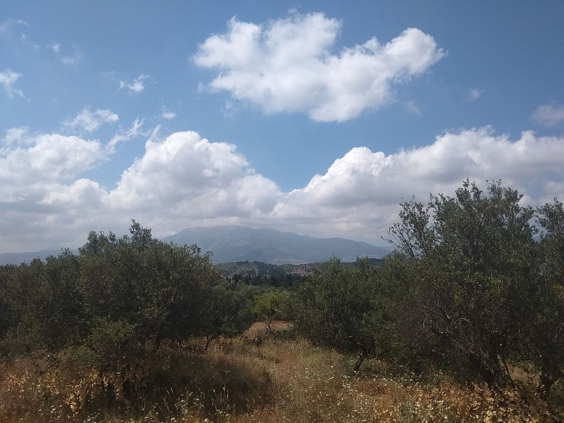 Land in Kefalas, Kriti 11553839