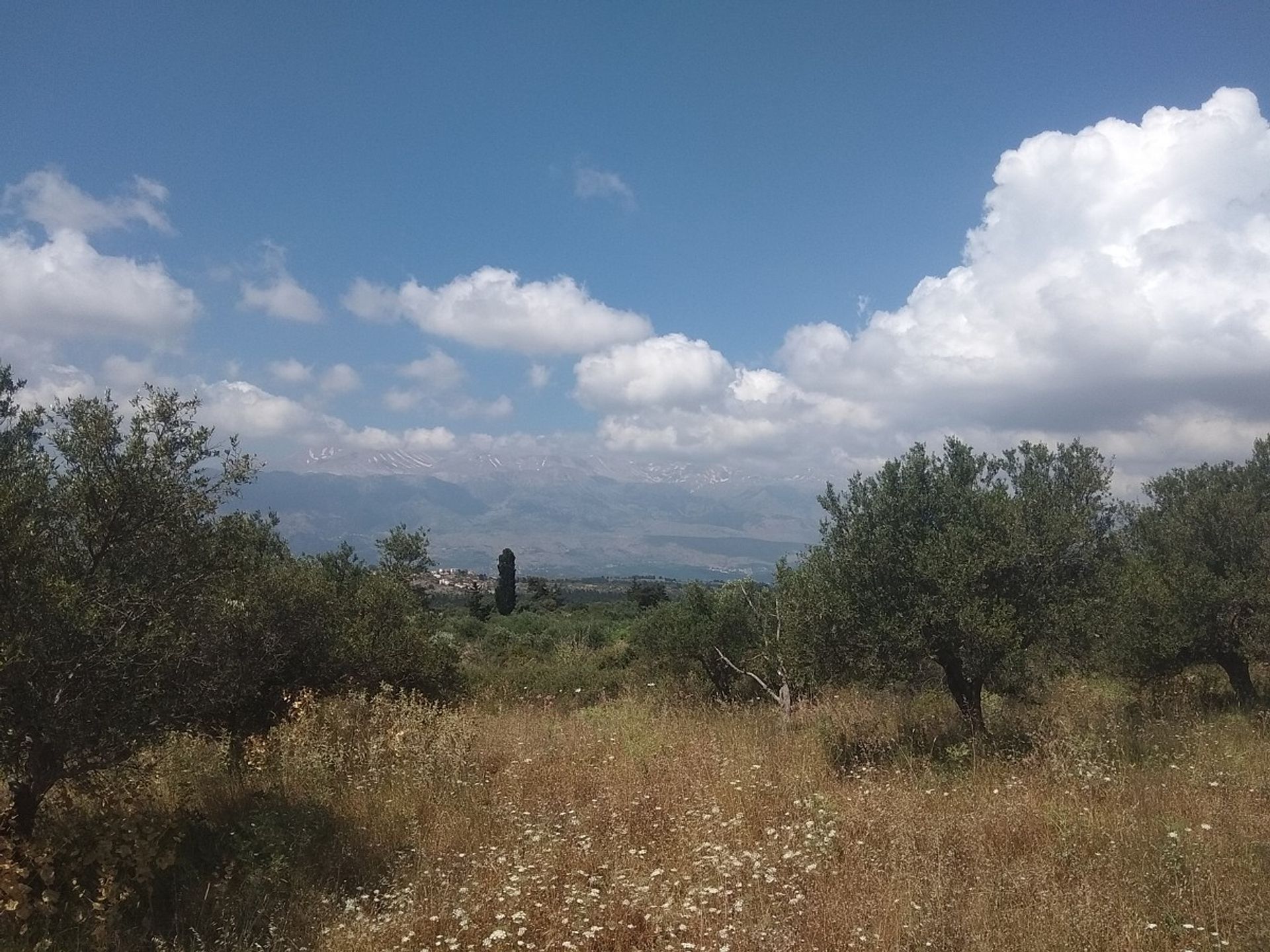 Land in Kefalas,  11553839