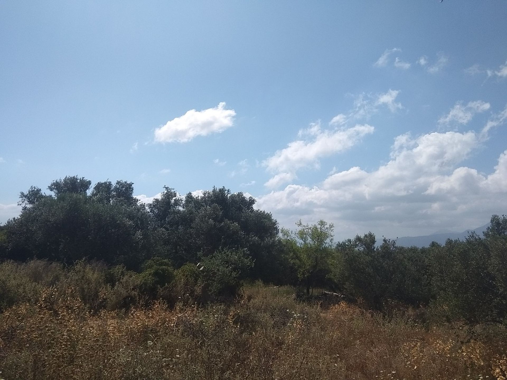 Land in Kefalas,  11553839