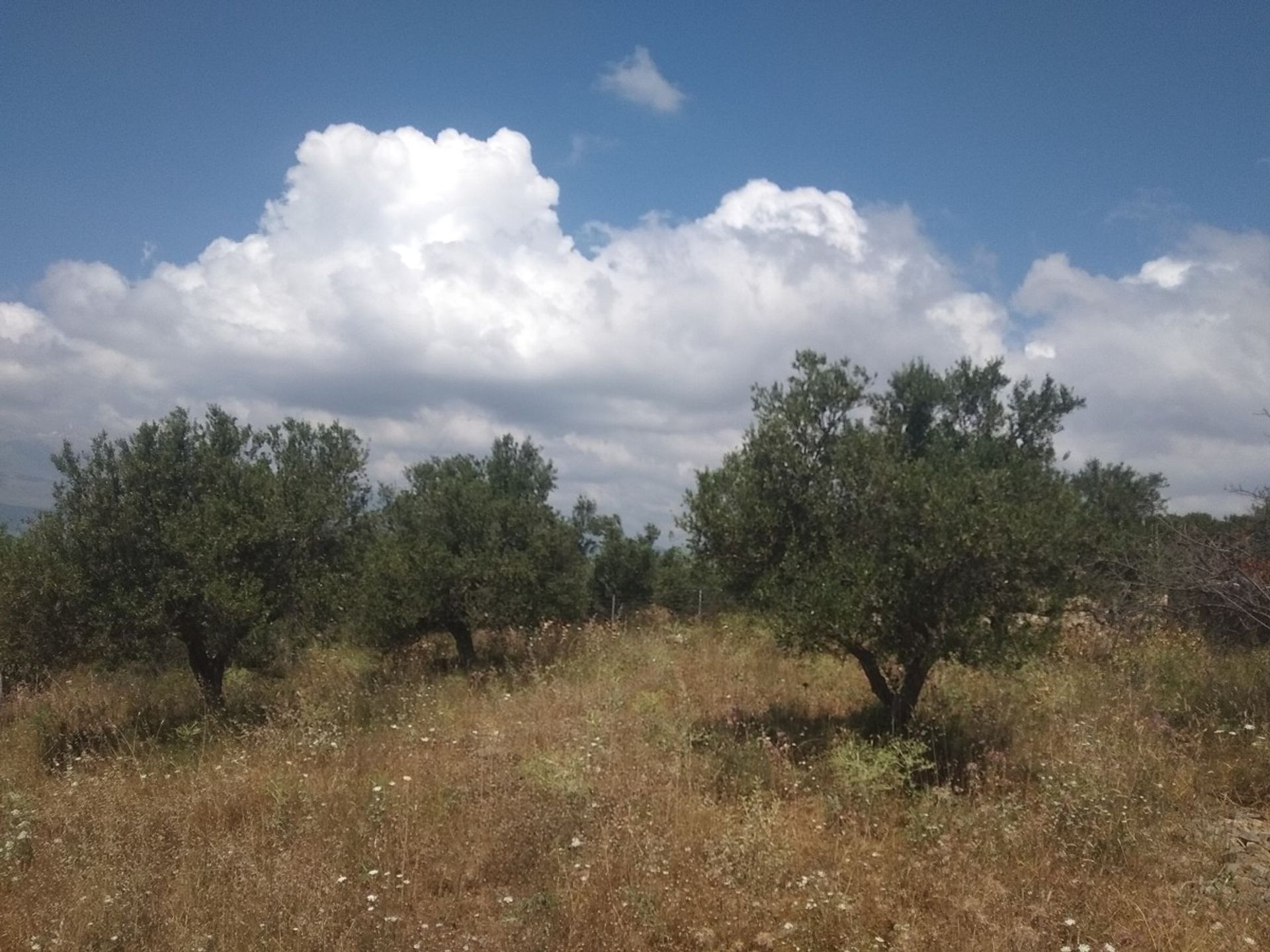 Land in Kefalas,  11553839