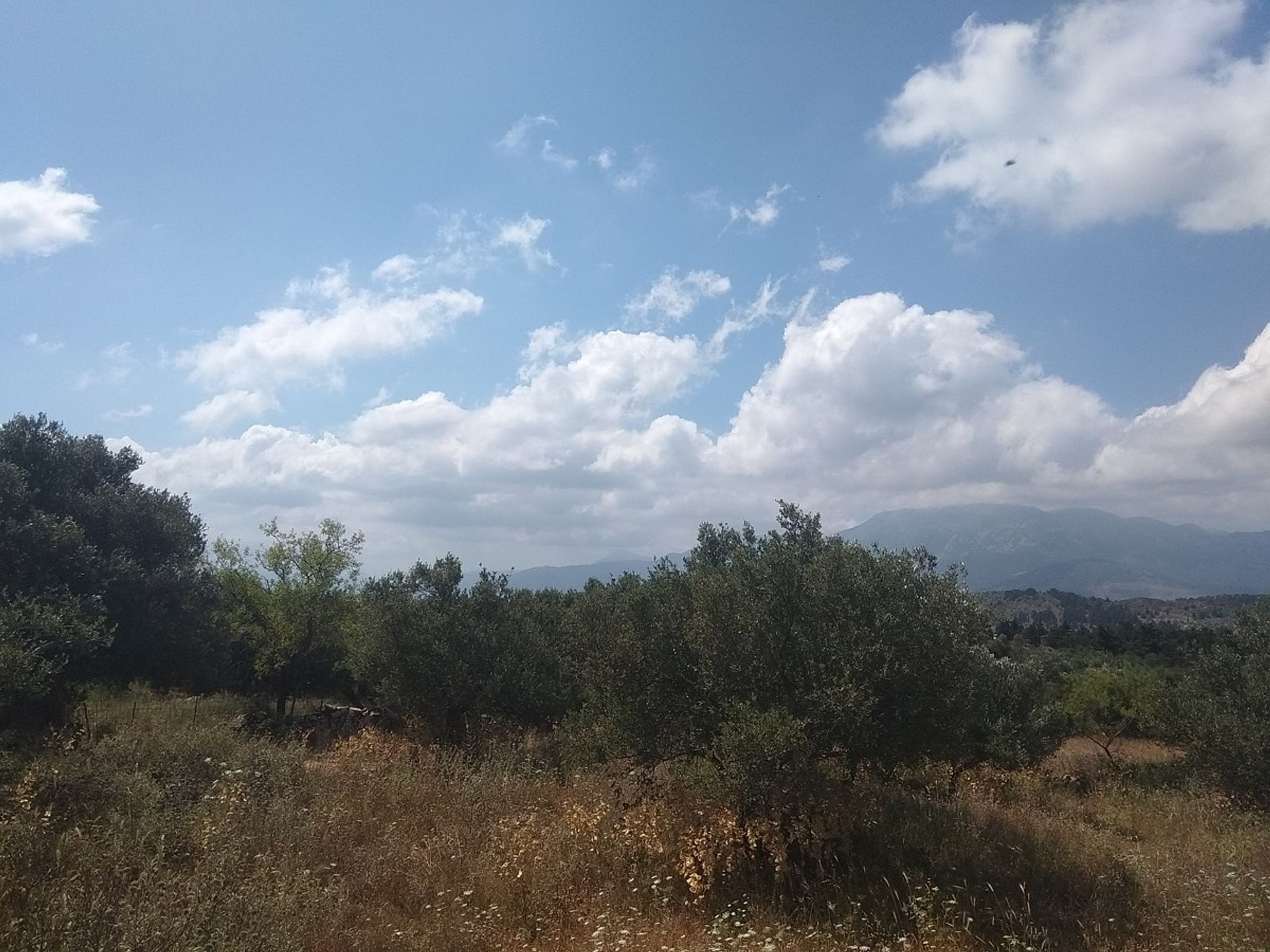 Land in Kefalas,  11553839