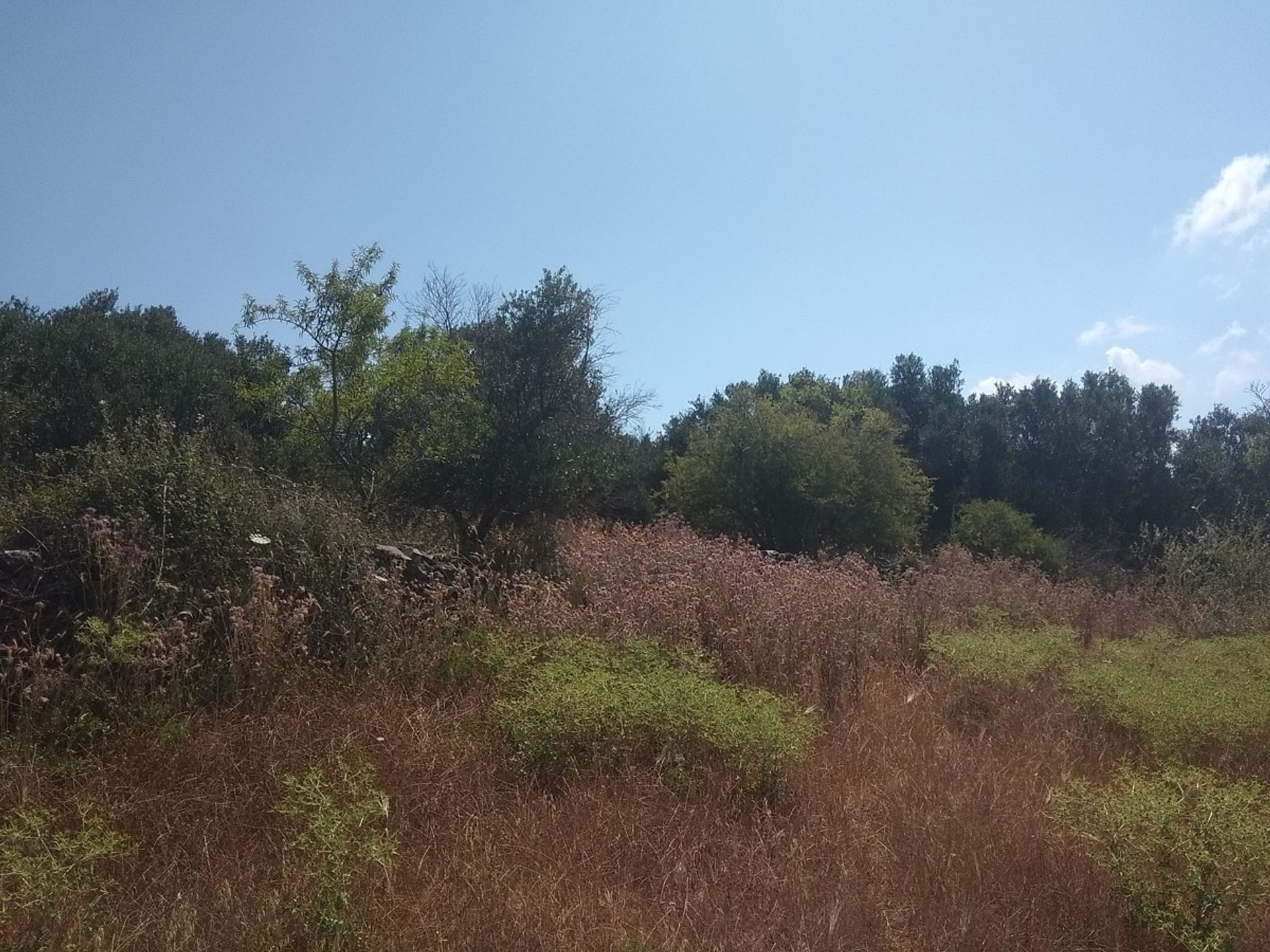 Land in Kefalas,  11553839