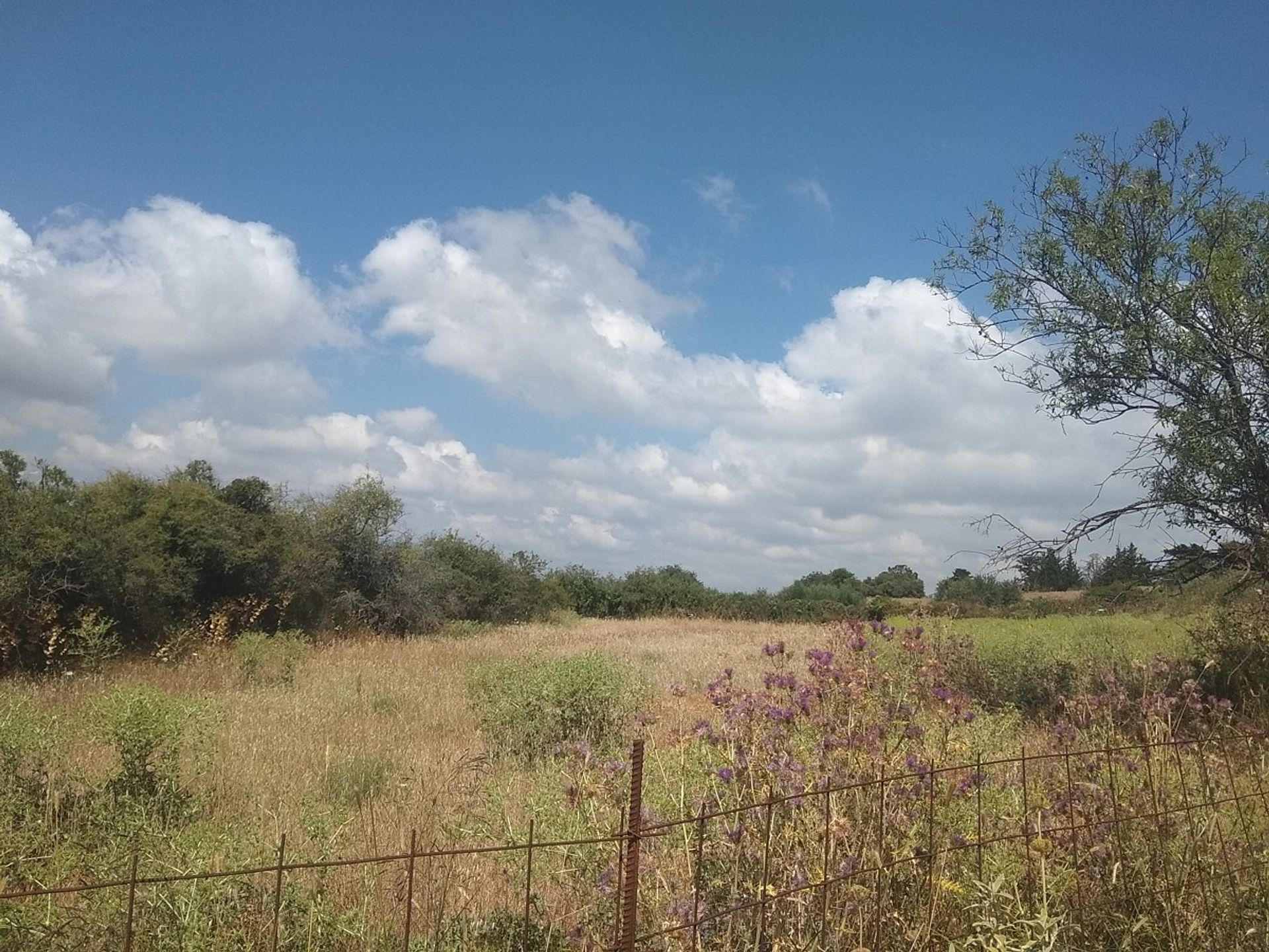 Land in Kefalas, Kriti 11553839