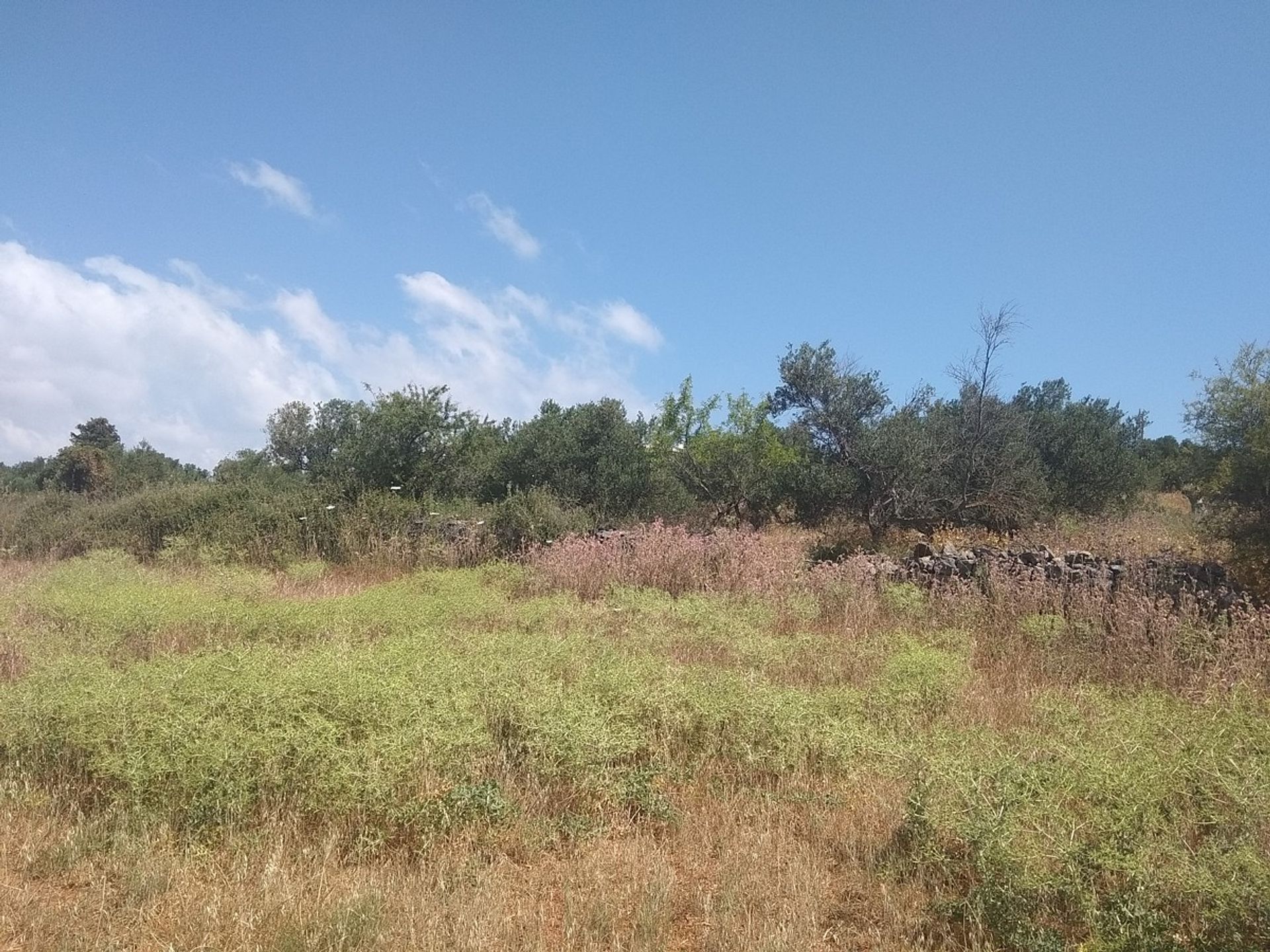 Land in Kefalas, Kriti 11553839