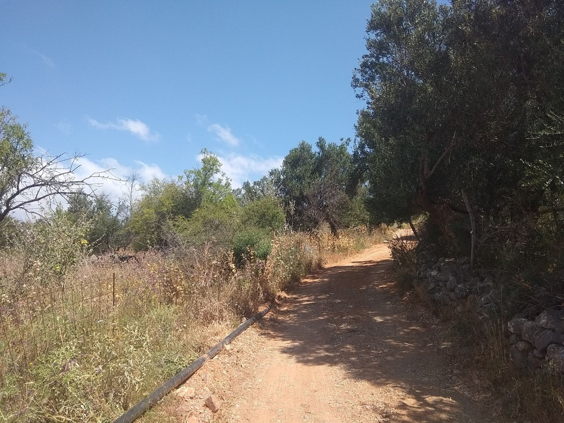 Land in Kefalas, Kriti 11553839