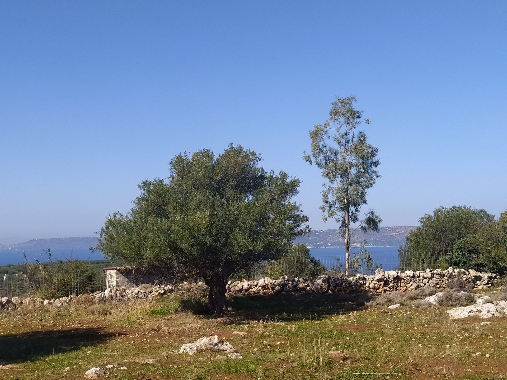 Land i Kefalas, Kriti 11553844