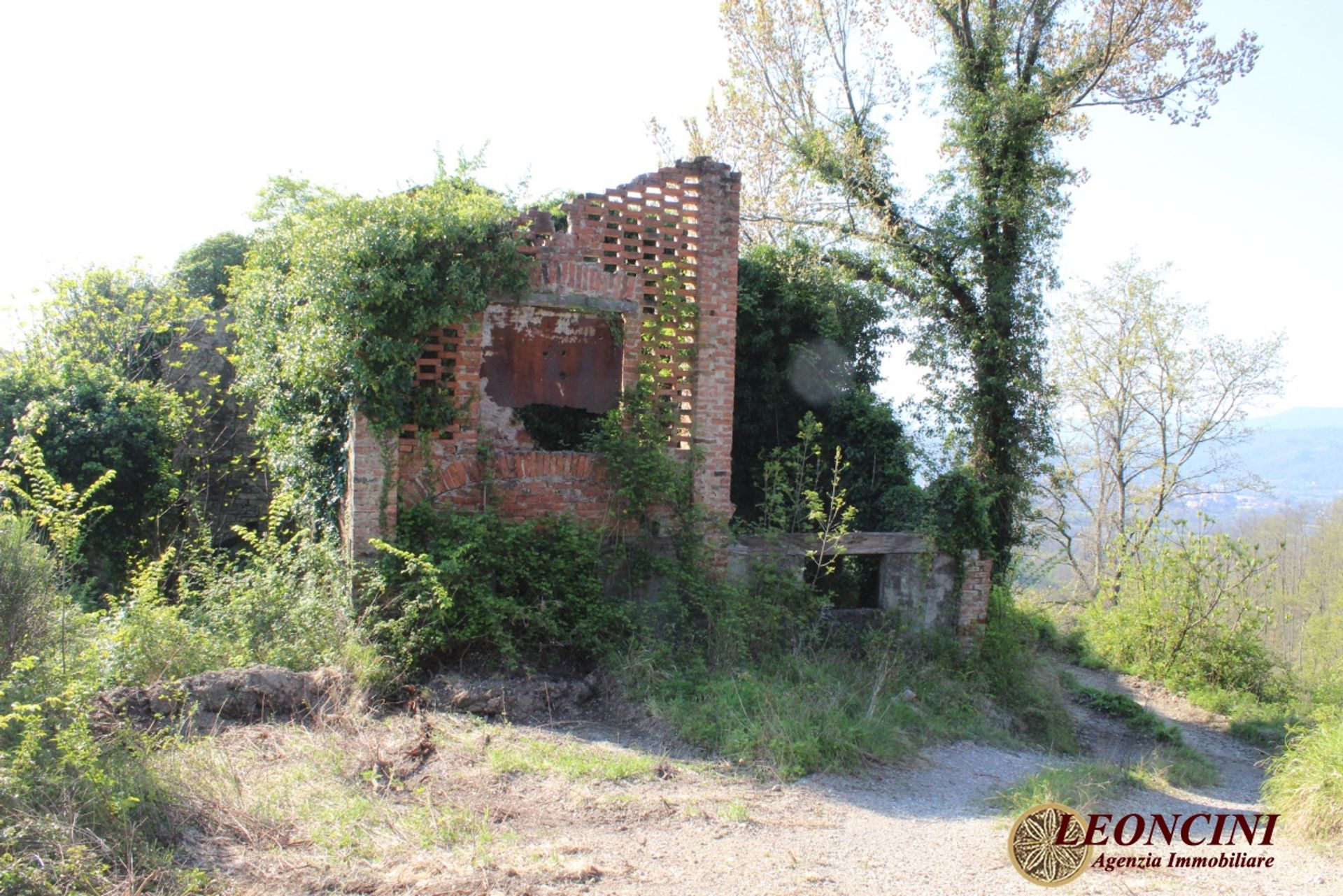 Casa nel , Tuscany 11553916