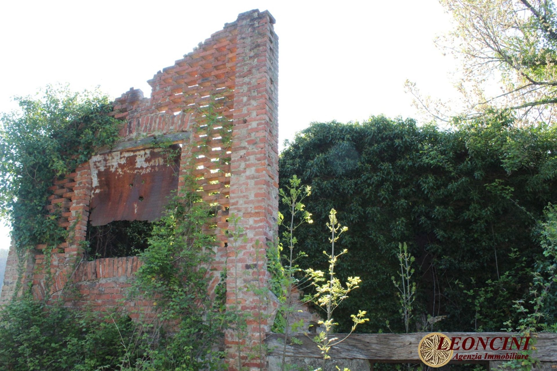 Casa nel , Tuscany 11553916