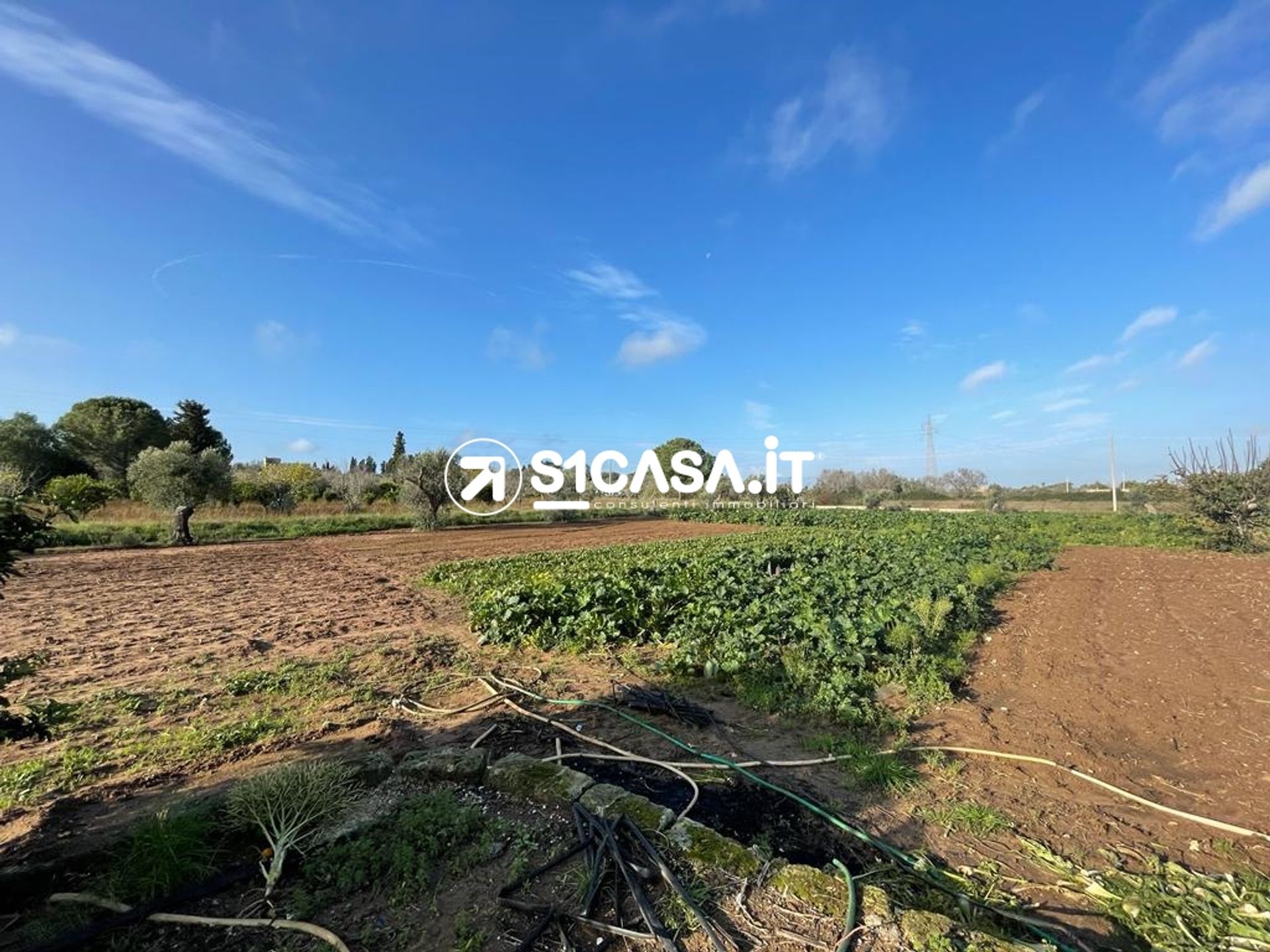 Land in Galatina, Puglia 11553941