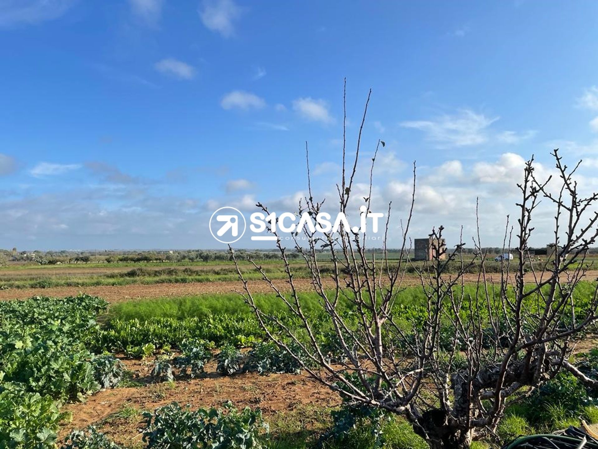 Land in Galatina, Puglia 11553941