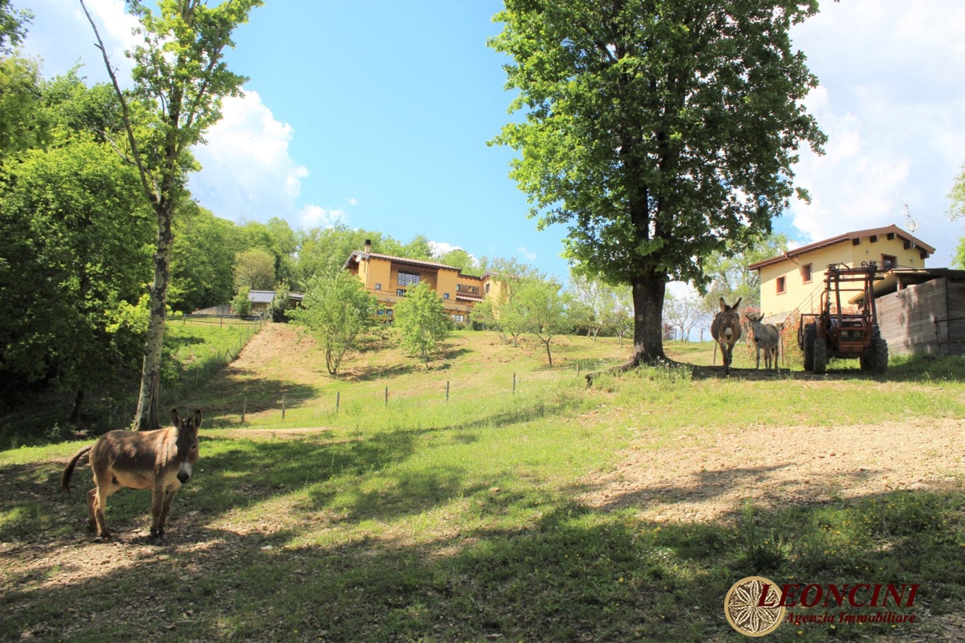 房子 在 Villafranca in Lunigiana, Tuscany 11553950