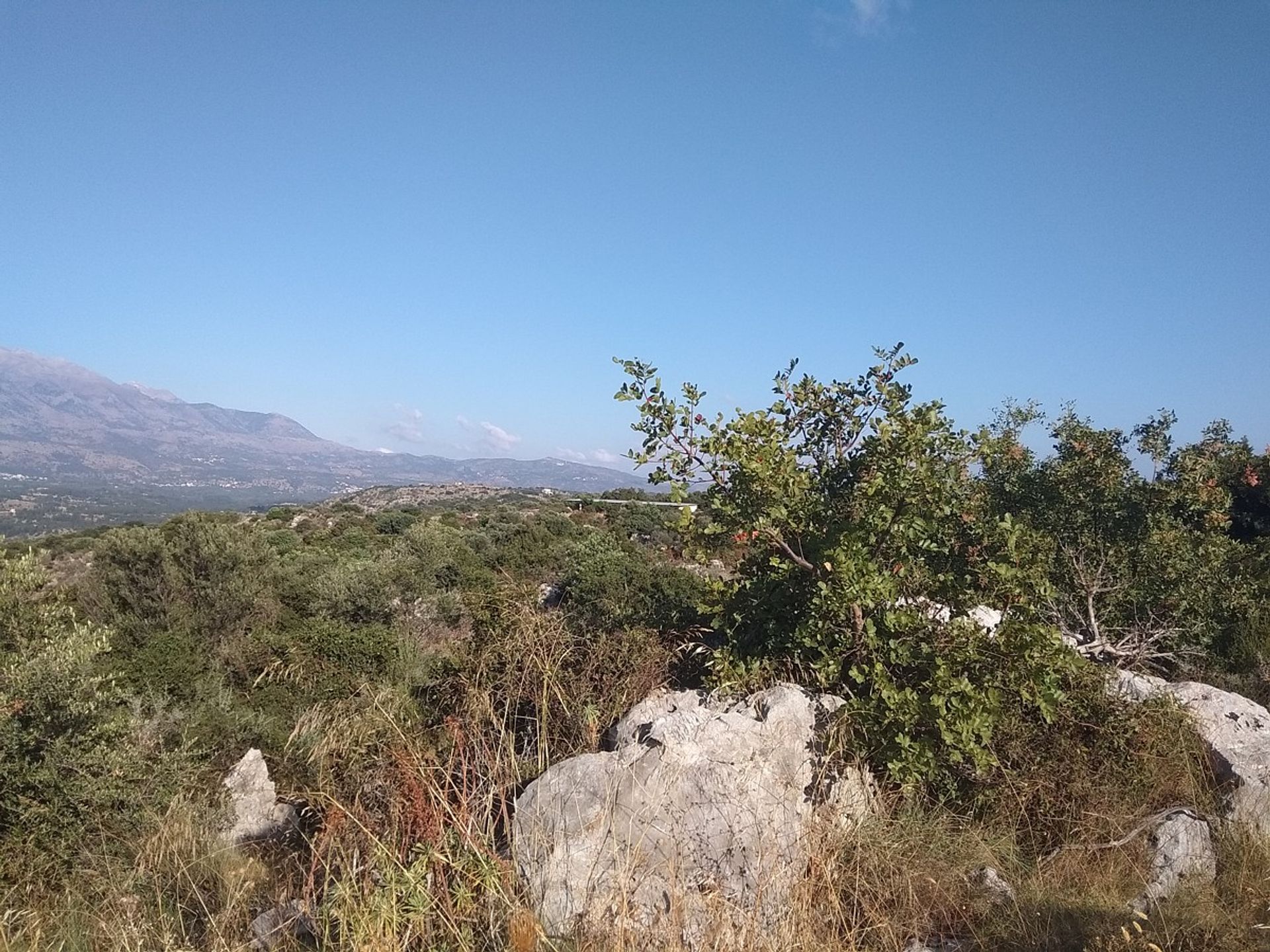 Land in Kefalas, Kriti 11554140