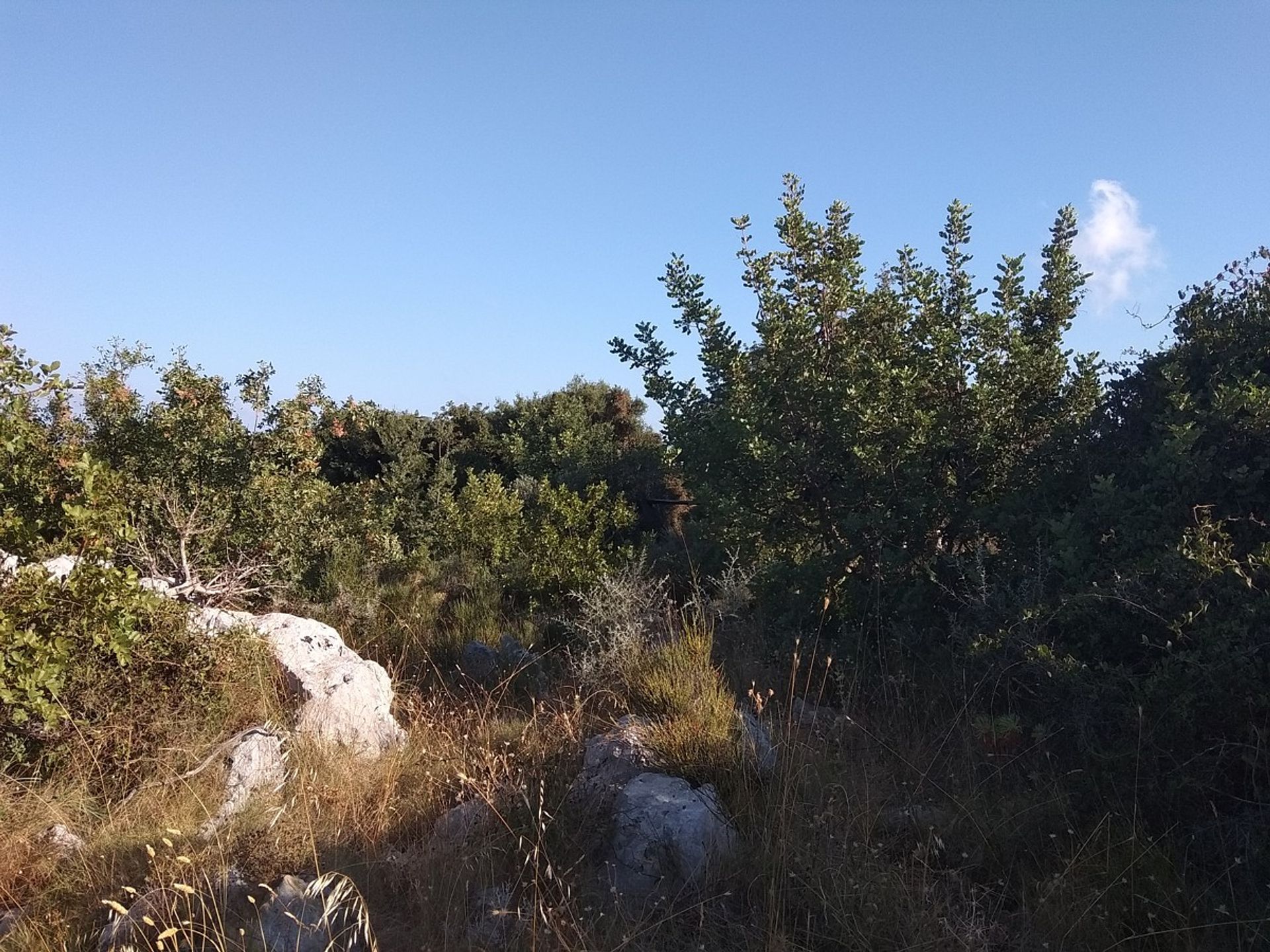 Land in Kefalas, Kriti 11554140