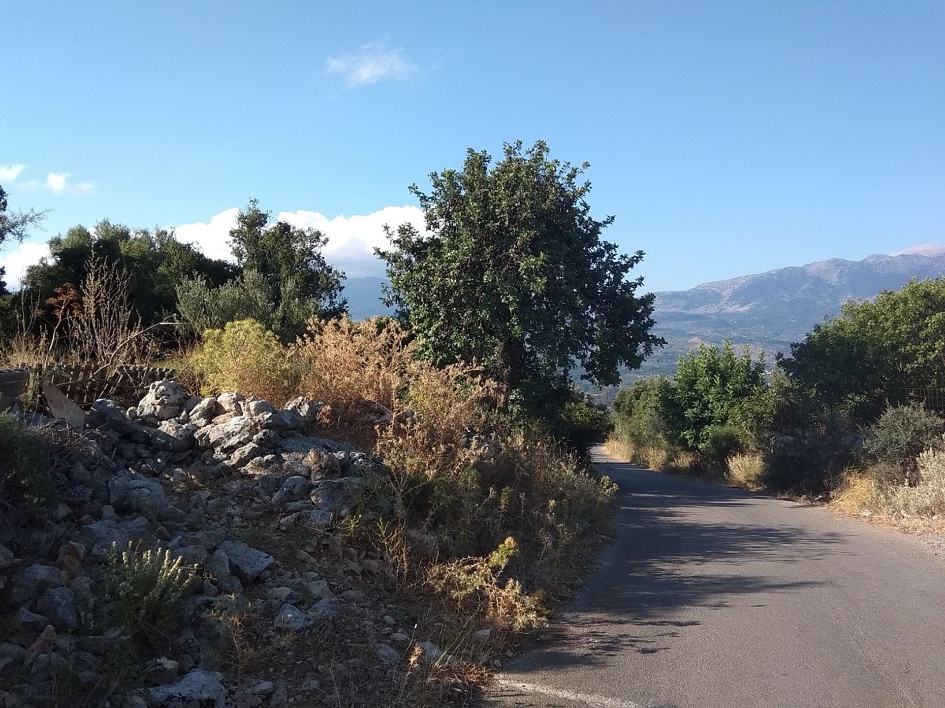 Land in Kefalas, Kriti 11554140