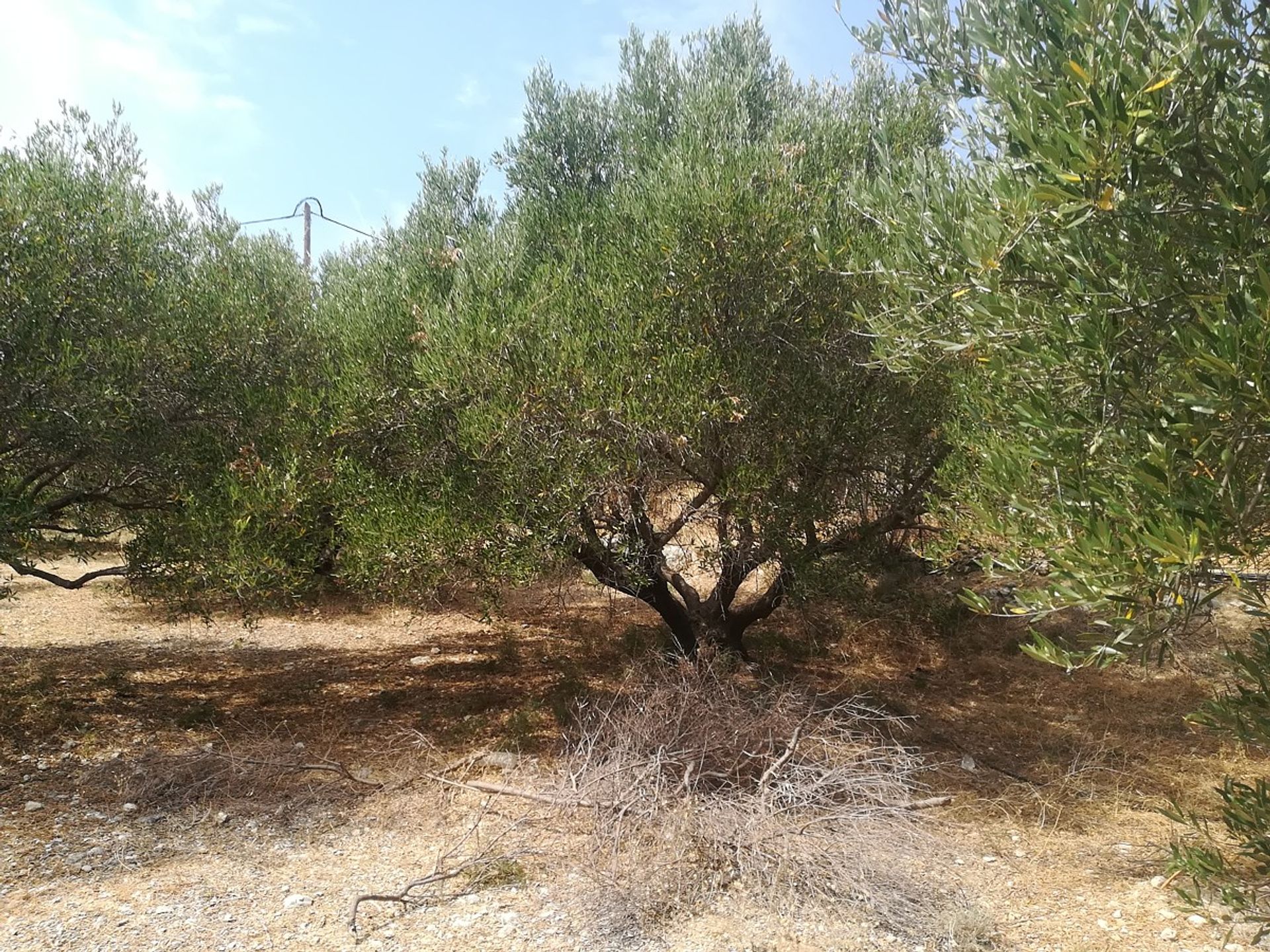 Land in Plaka,  11554145