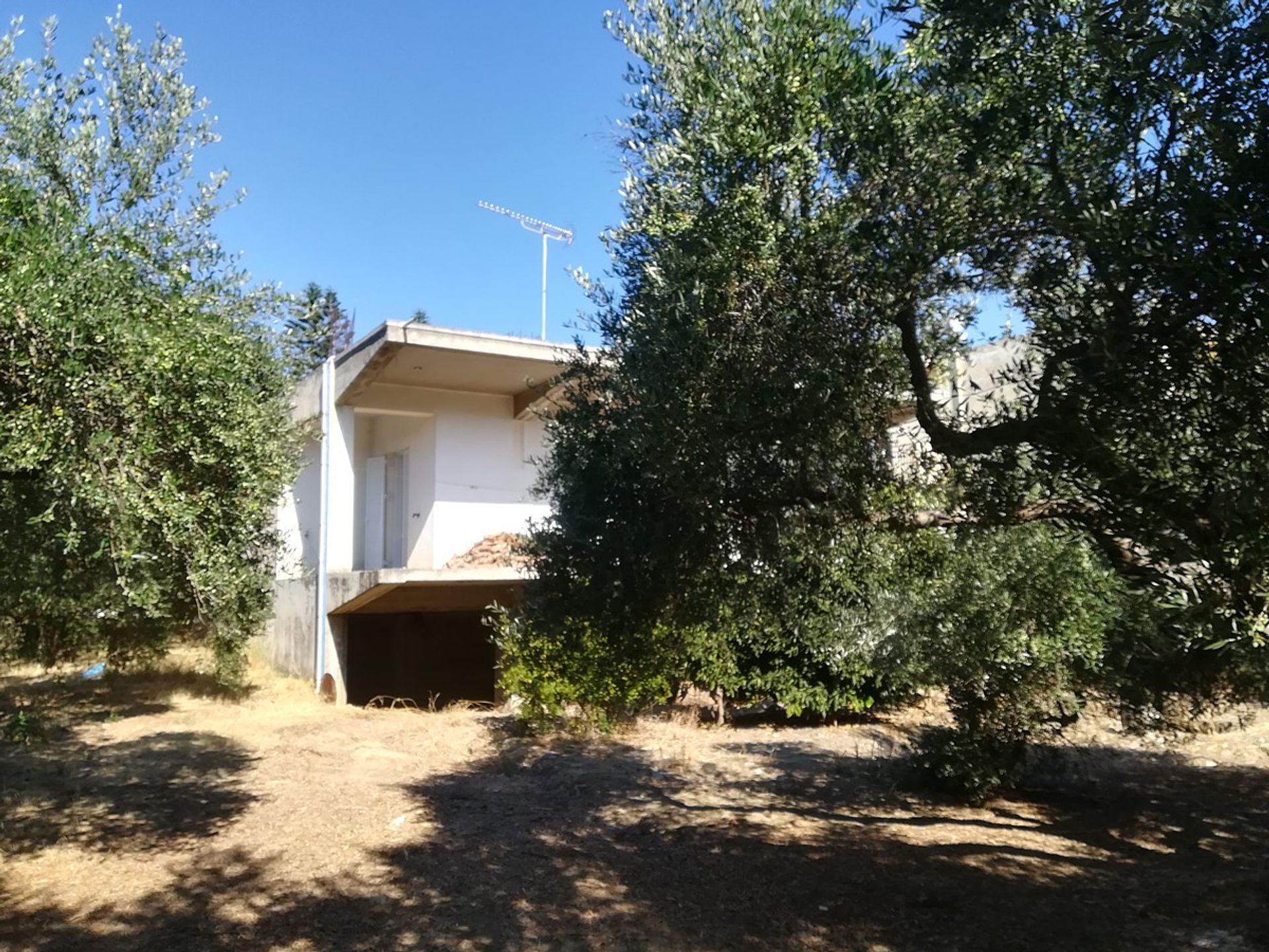 casa en rapaniana, criti 11554146