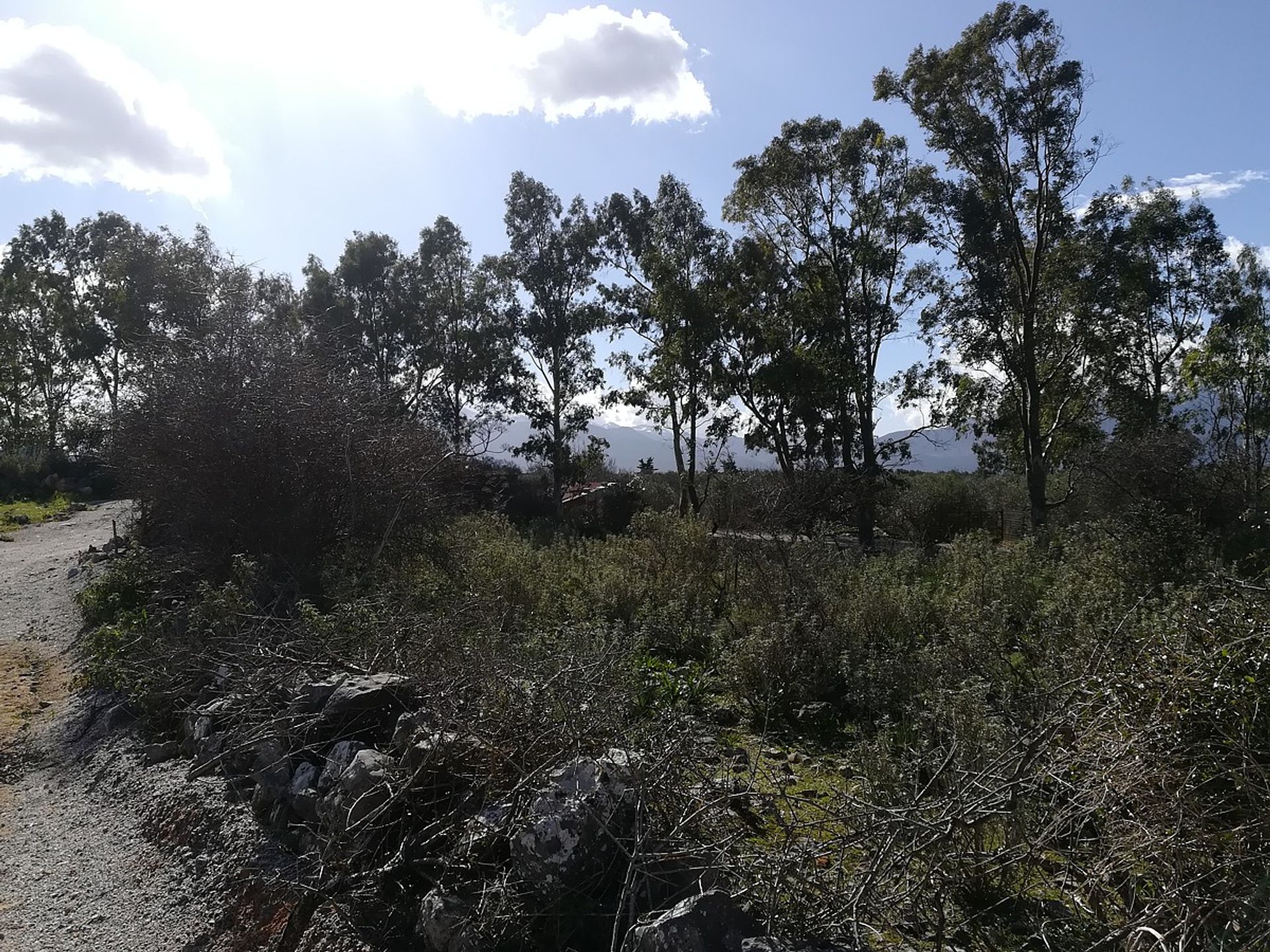 Land in Kefalas, Kriti 11554171