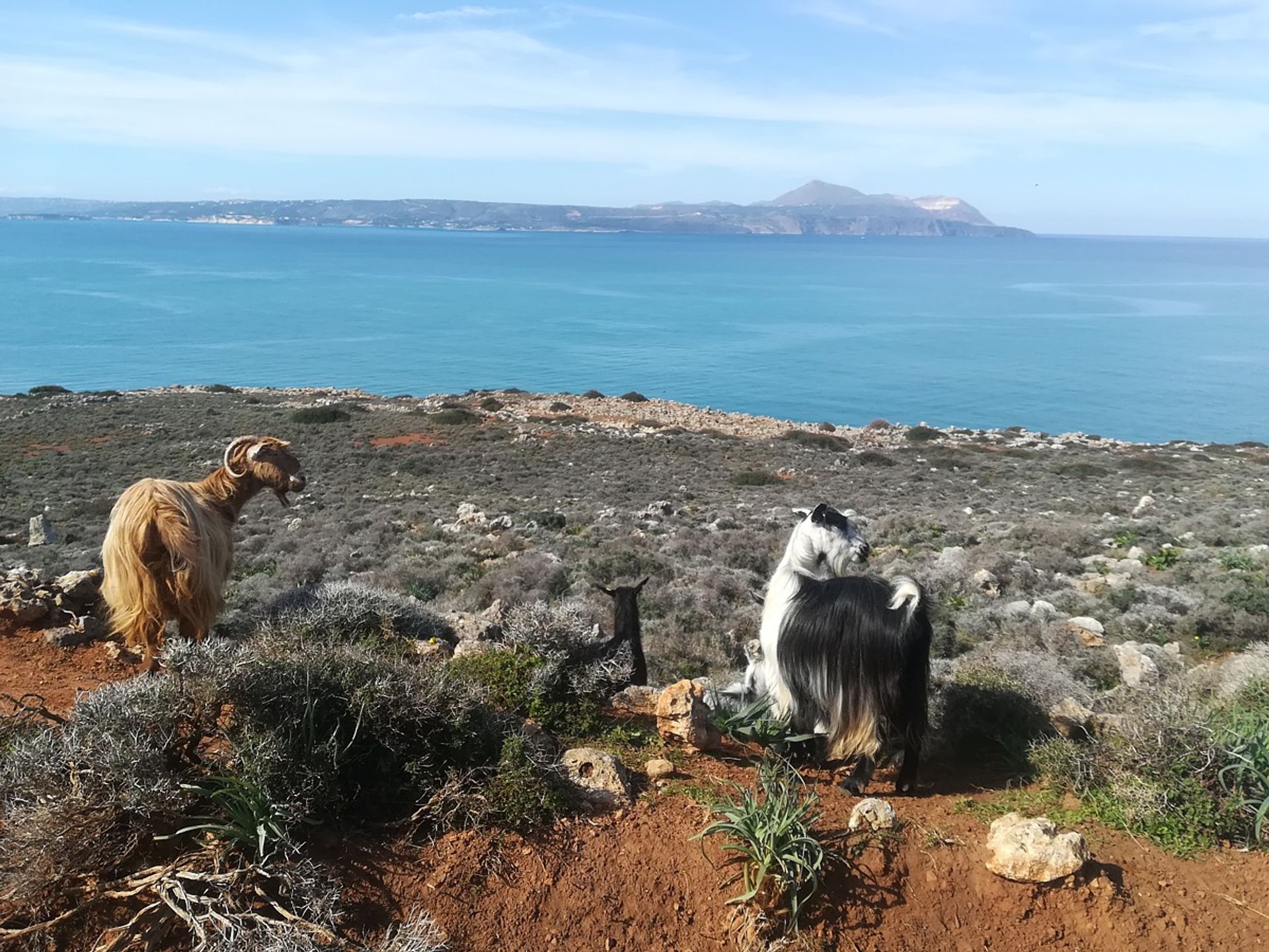 Land in Kokkino Chorio,  11554172