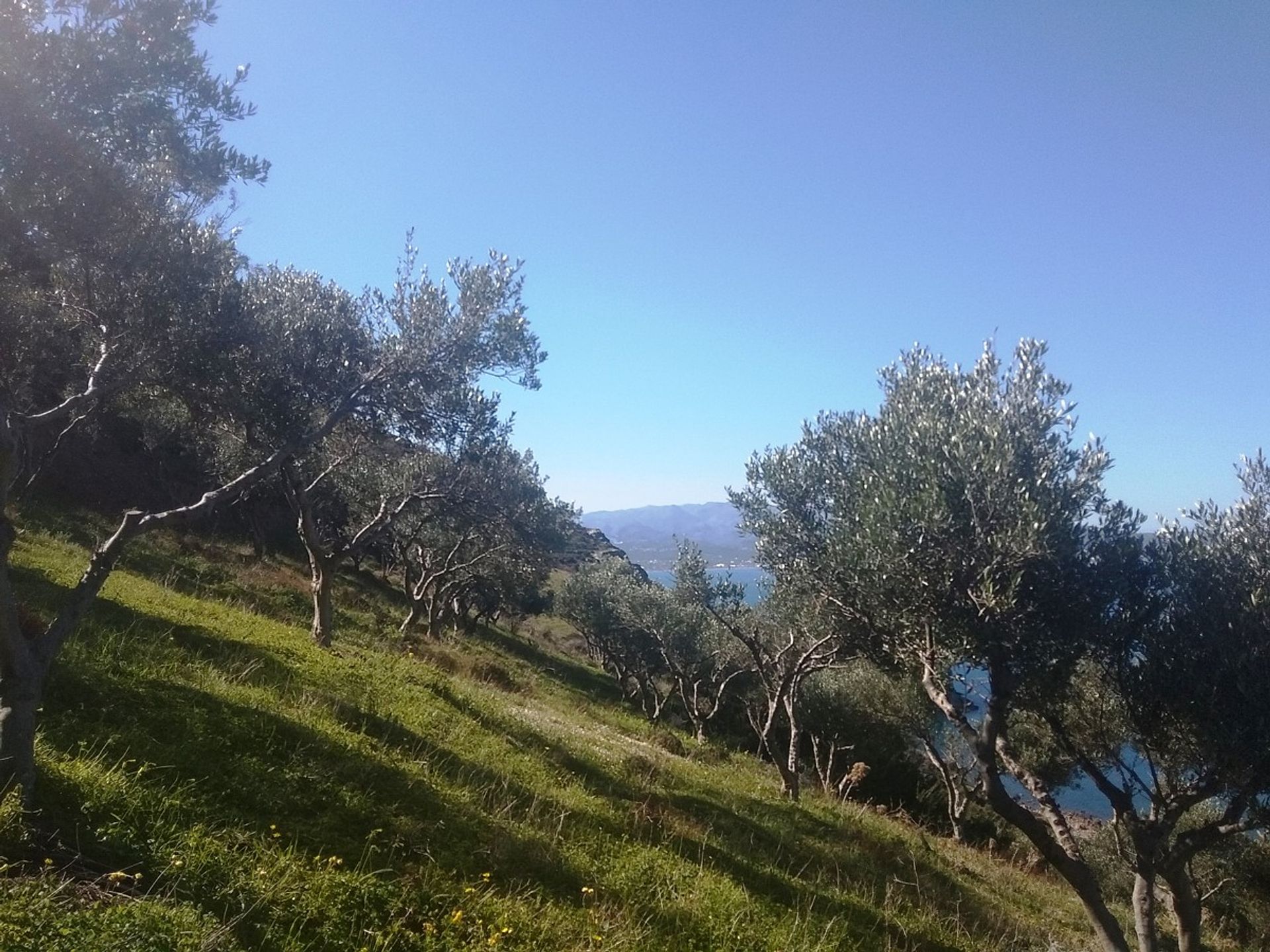 Land i Ravdoucha,  11554175