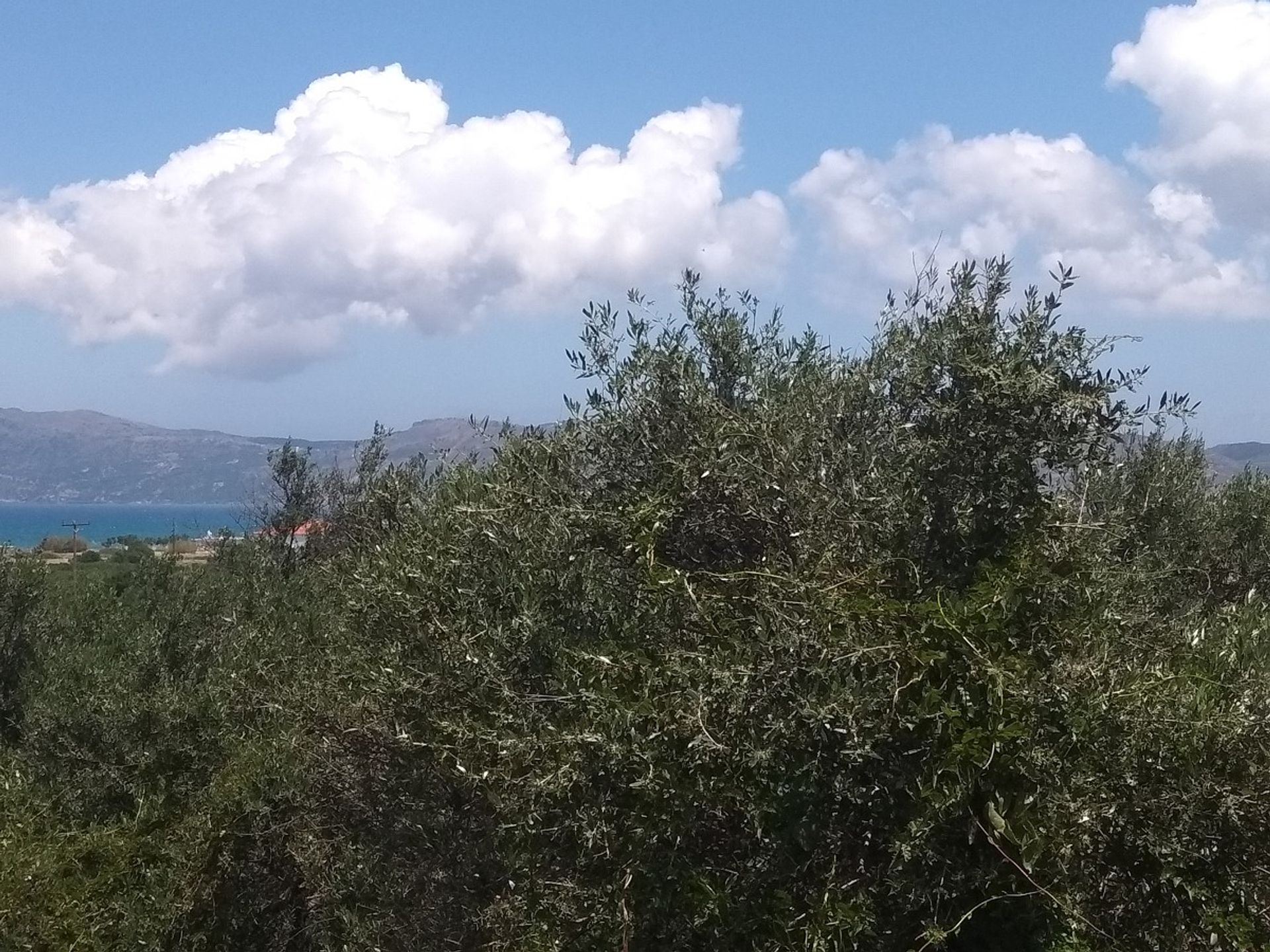 Land in Kissamos,  11554185