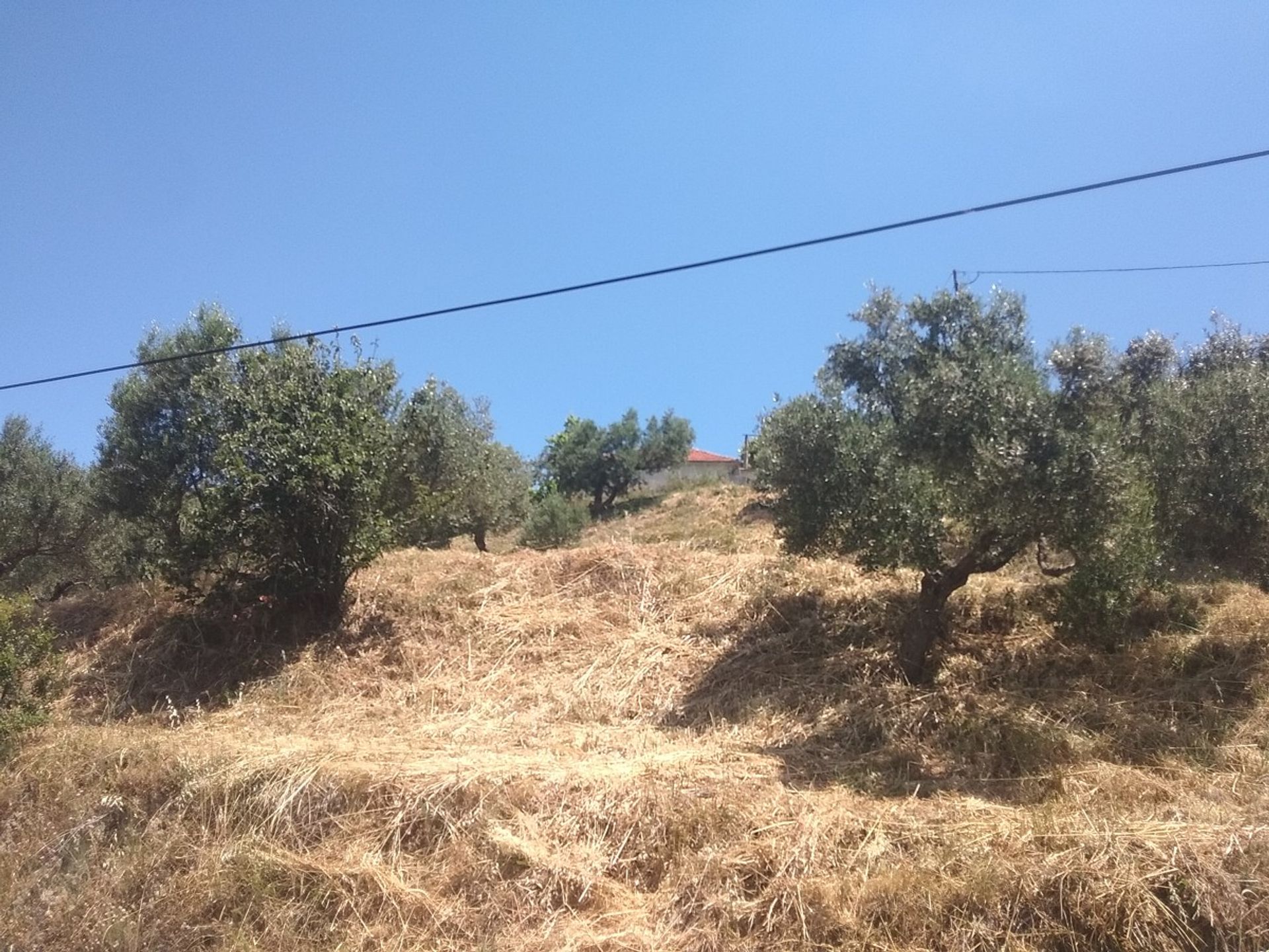 Land i Kolymvari,  11554188