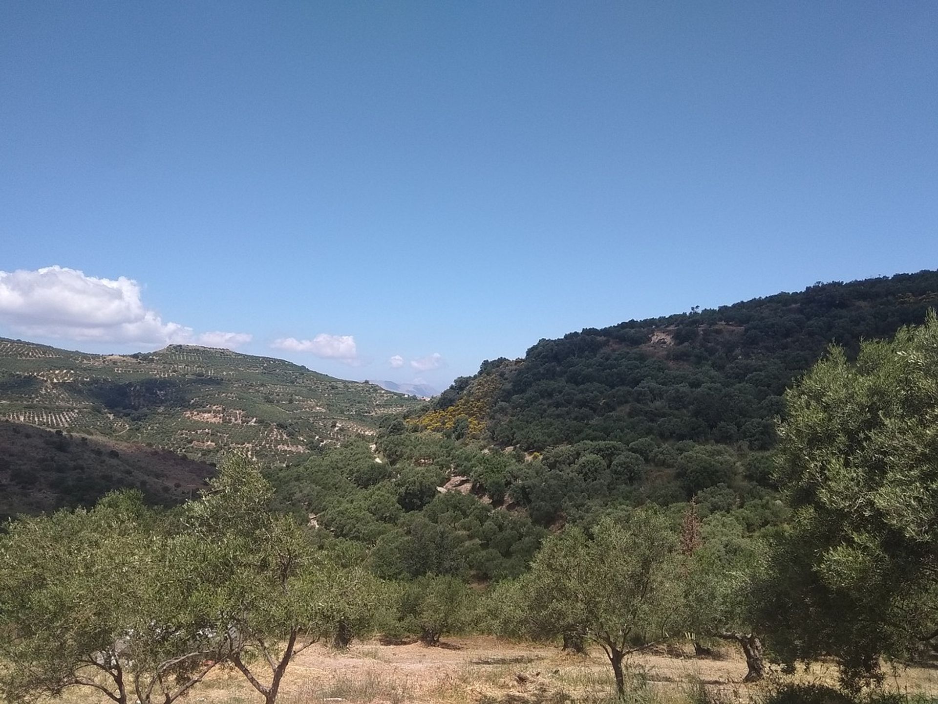 Land in Kolymvari,  11554188