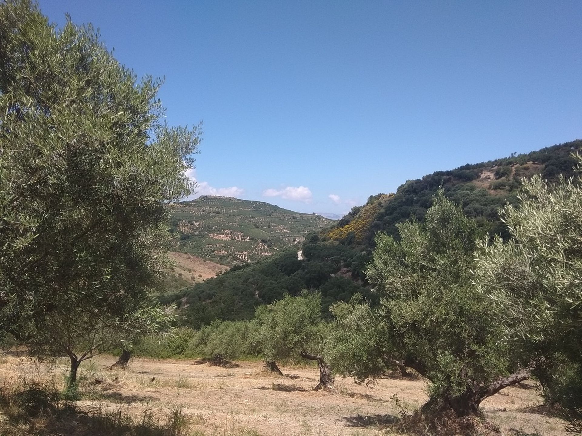 Land in Kolymvari,  11554188