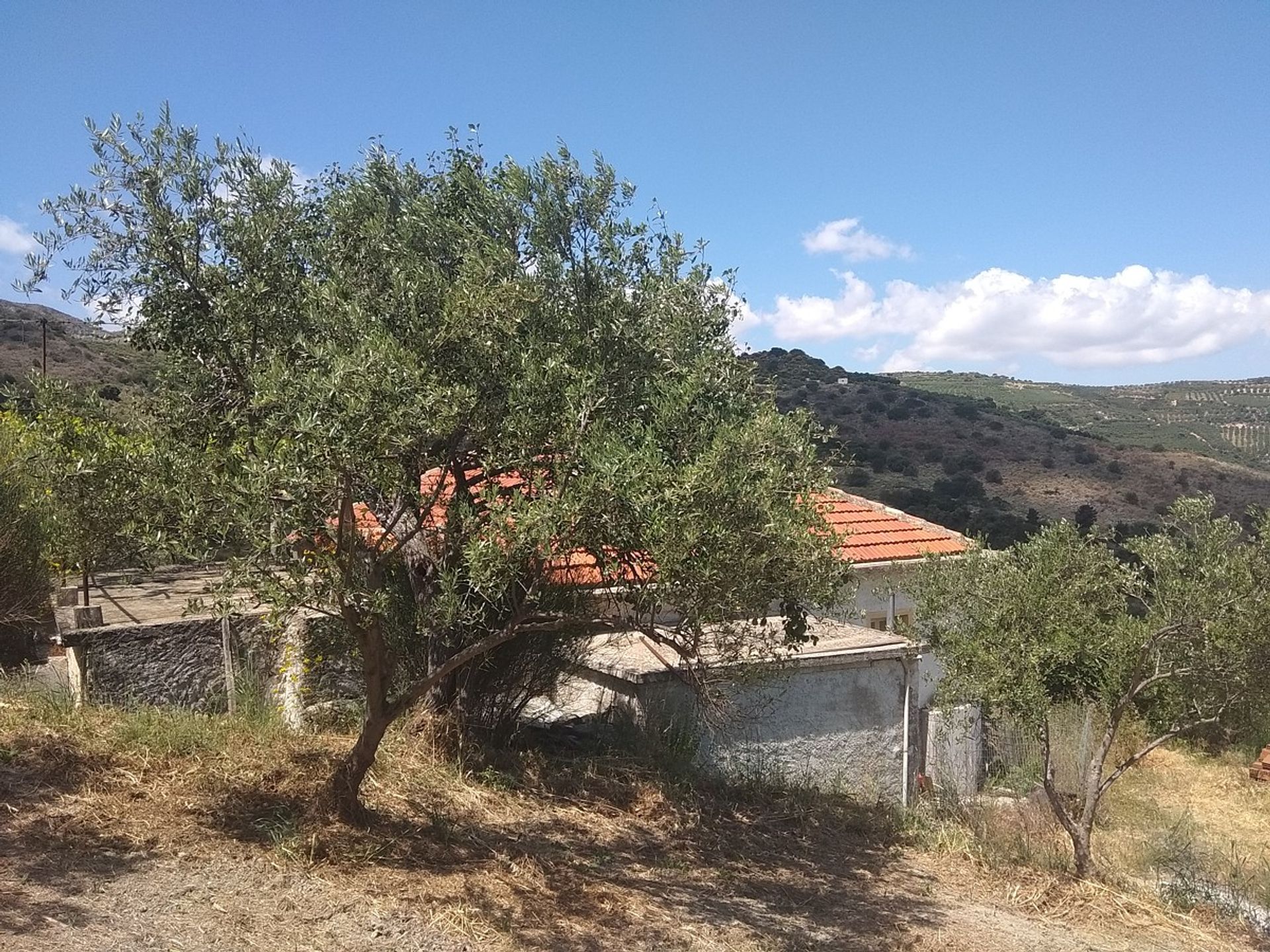 Tierra en Kolymvari,  11554188