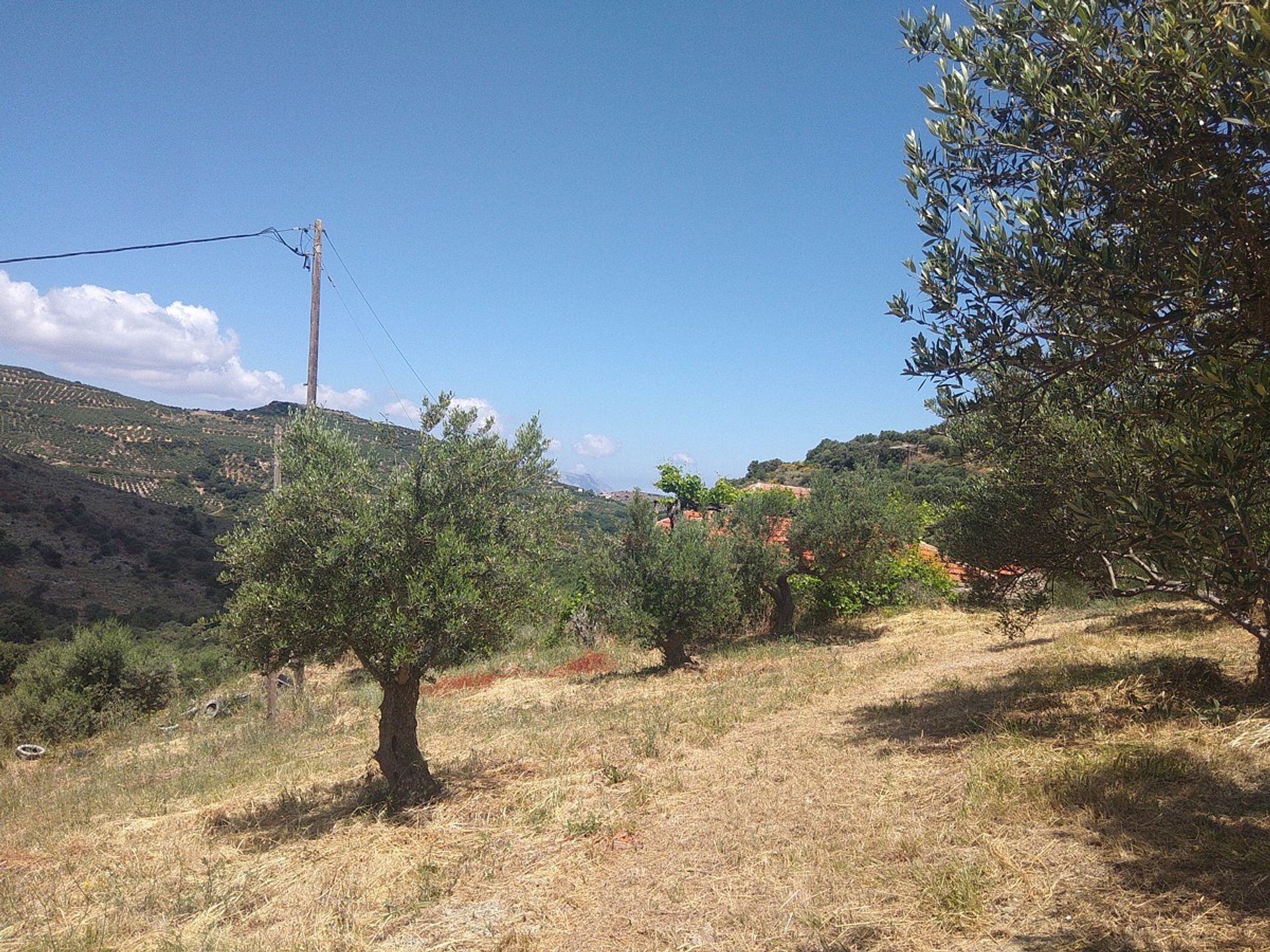 Land in Kolymvari,  11554188