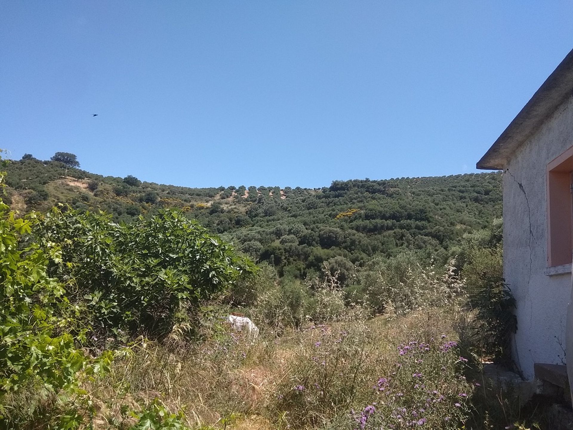 Land in Kolymvari,  11554188