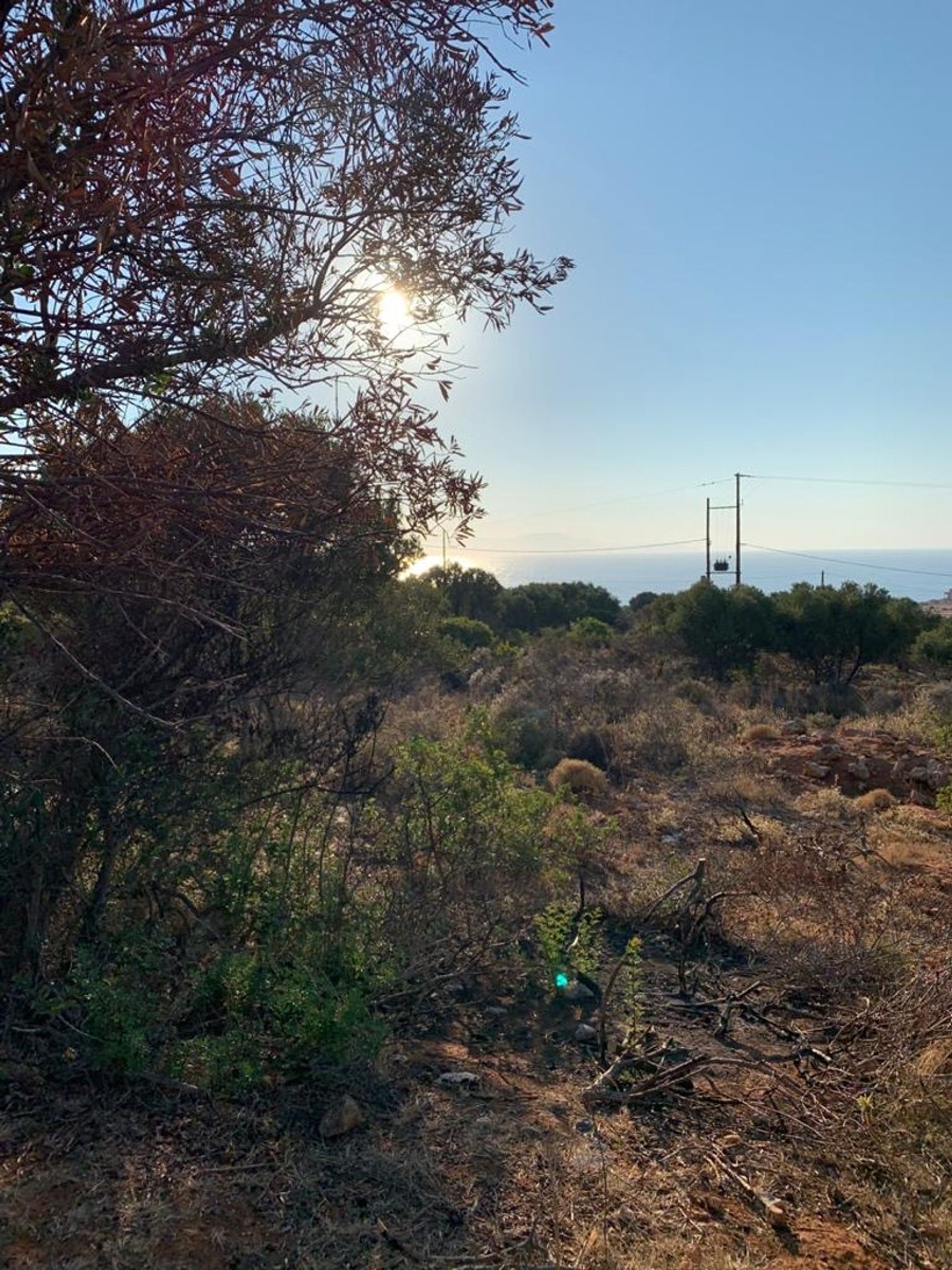 Tierra en Akrotiri,  11554210