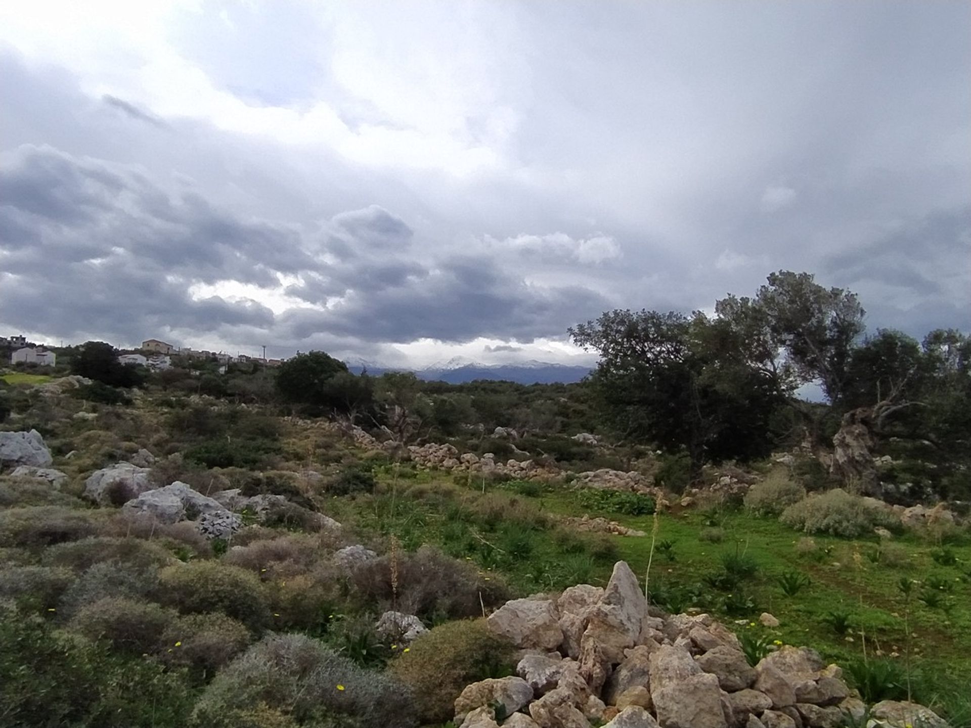 Land i Kokkino Chorio,  11554219