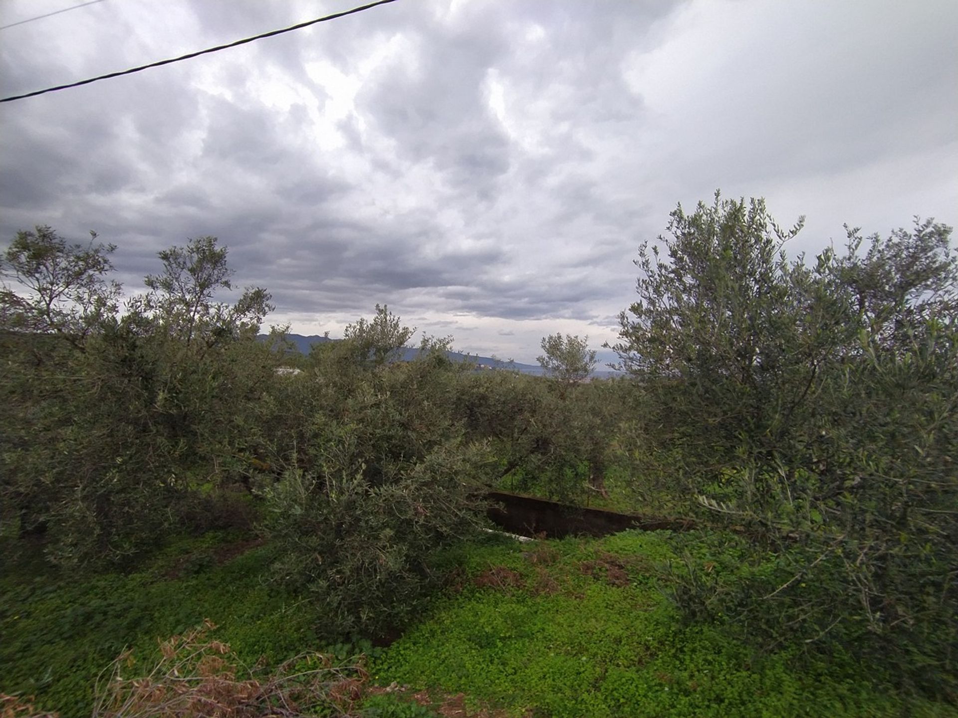 Tierra en Vlacheronitissa,  11554245