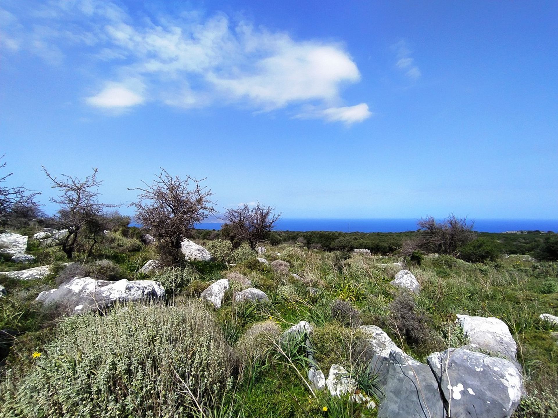 Terre dans Kokkino Chorio,  11554260