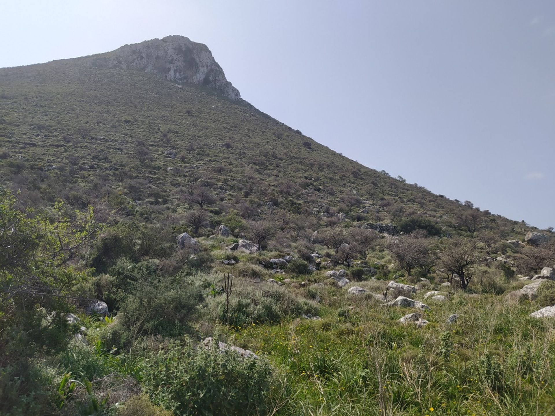 Tierra en Kokkino Chorio,  11554260