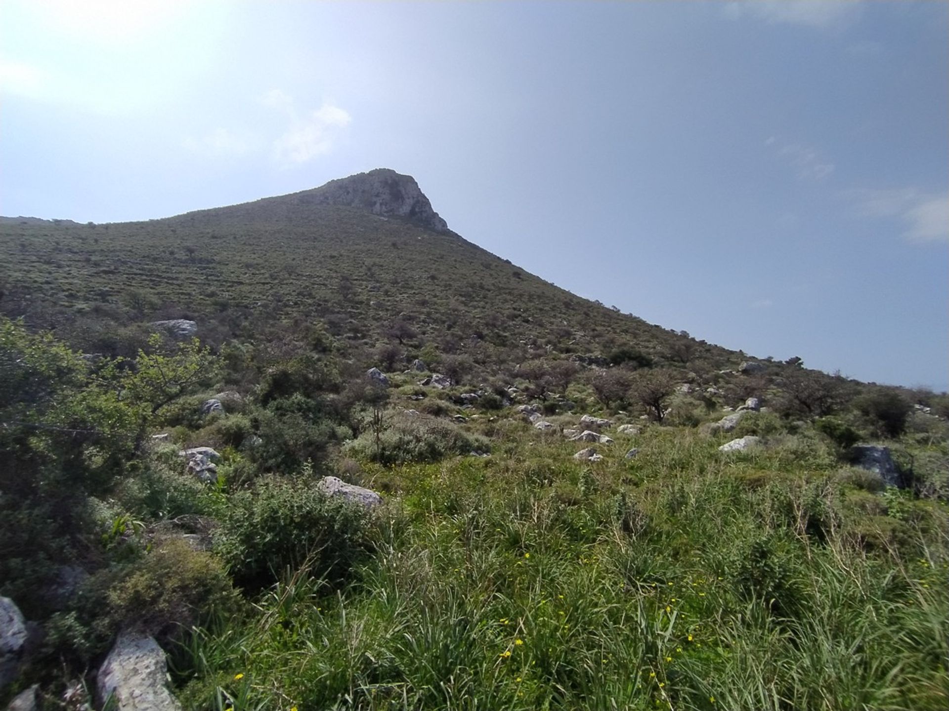 Jord i Kokkino Chorio,  11554260