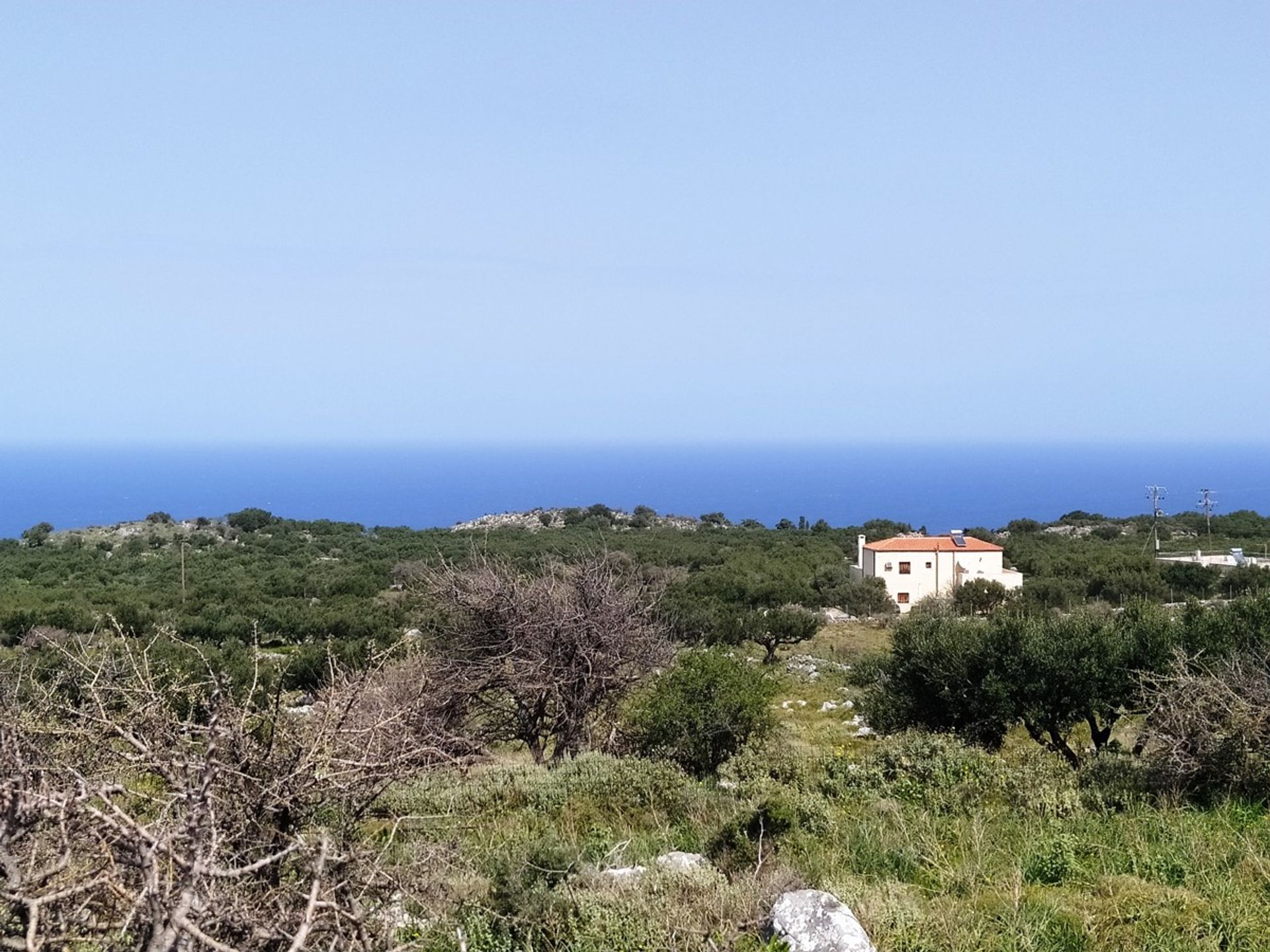 Terre dans Kokkino Chorio,  11554260