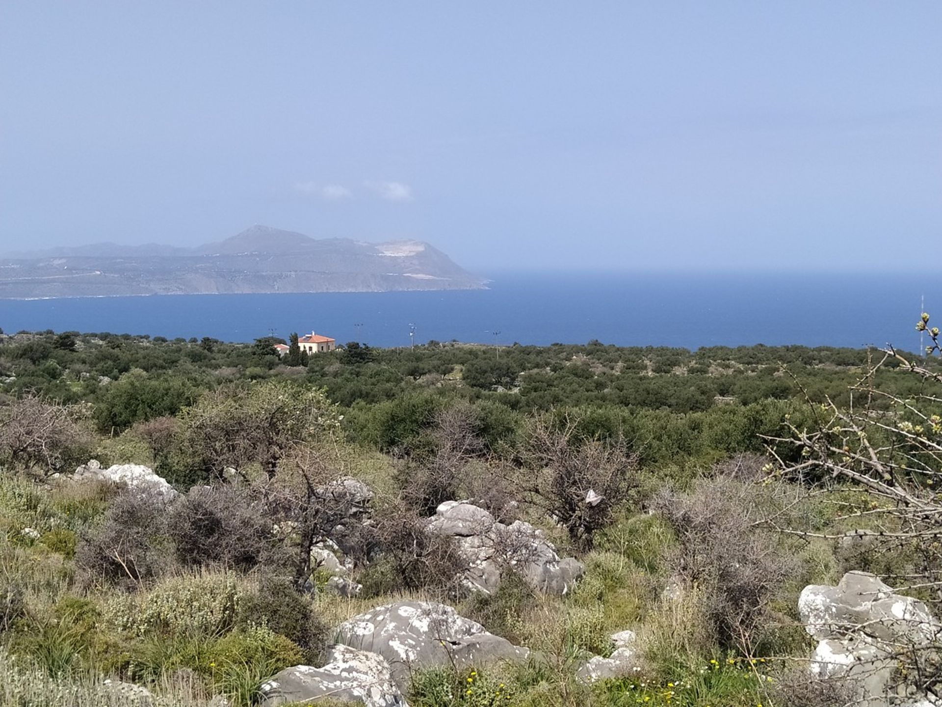 Land im Kefalas, Kriti 11554260