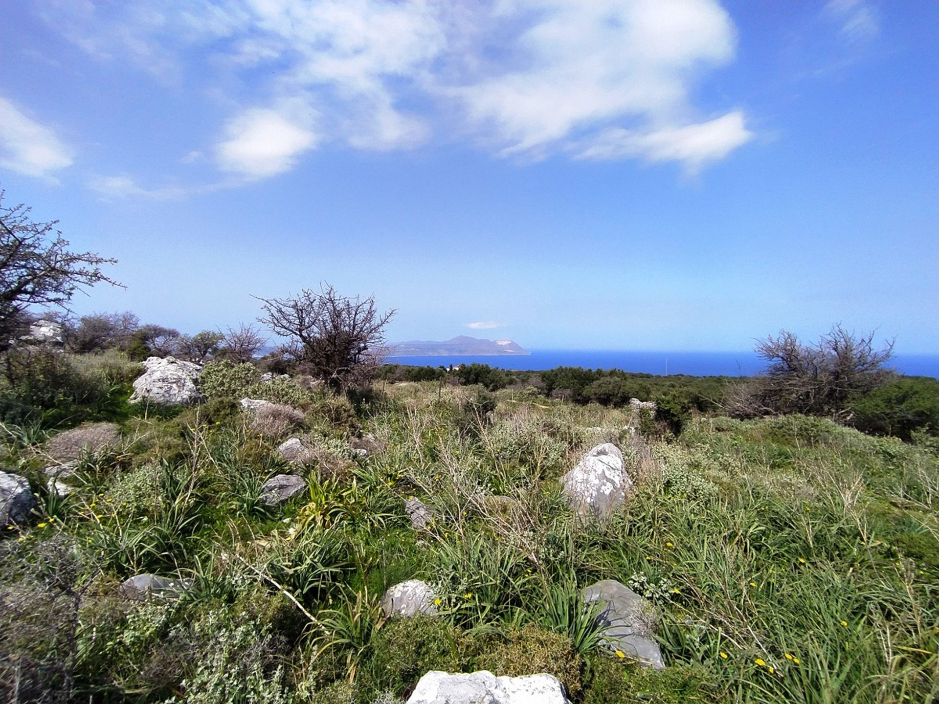 Terre dans Kokkino Chorio,  11554260